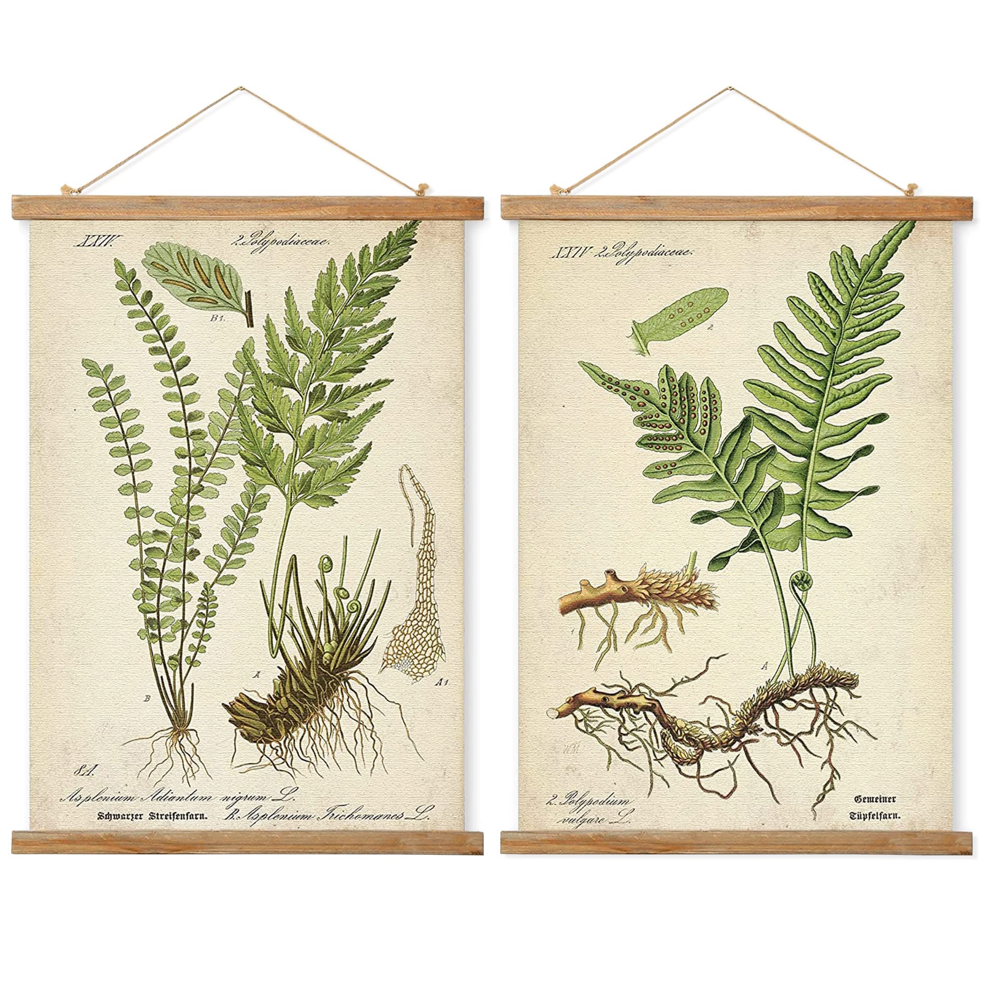 2 Pack Vintage Botanical Wall Art Prints, Printed On Linen With Natural Wooden Frames, For Living Room Office Bedroom