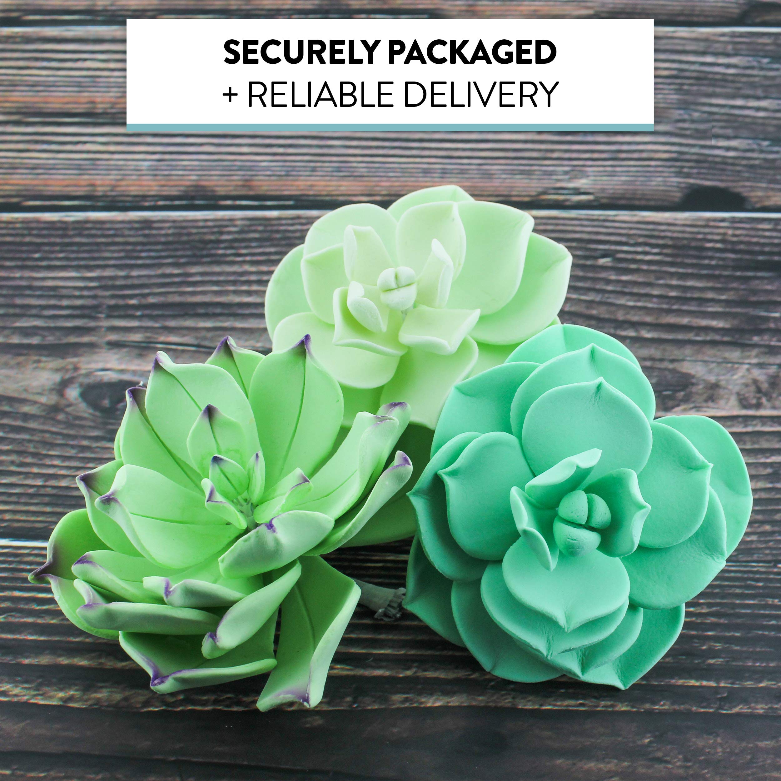 Global Sugar Art Succulents Sugar Cake Flowers, Set Of 3 By Chef Alan Tetreault
