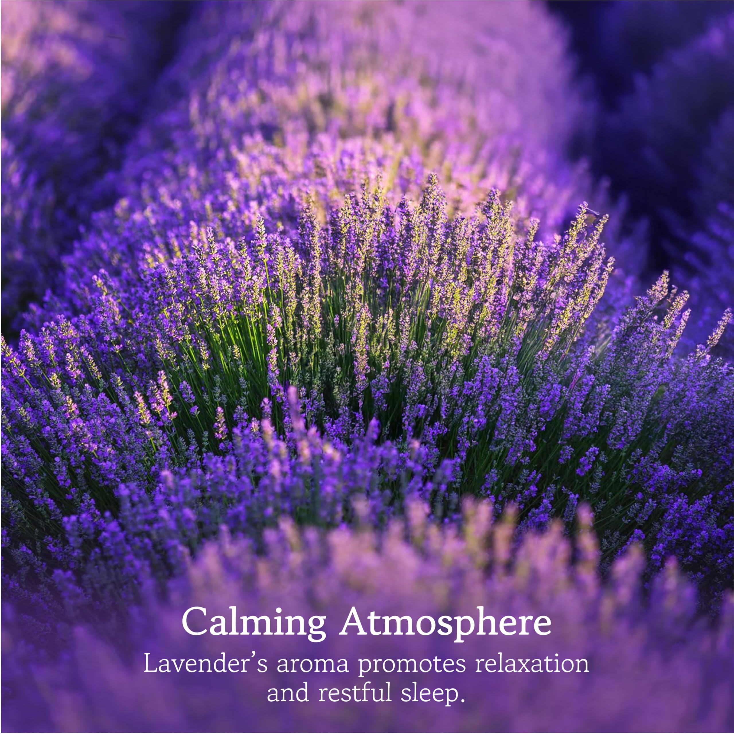 Lavender Sachets for Drawers and closets: 20 Lavender Bags with Dried Lavender Flowers - closet Freshener  closet Scent - Lavender Sachet Bags Lavodia