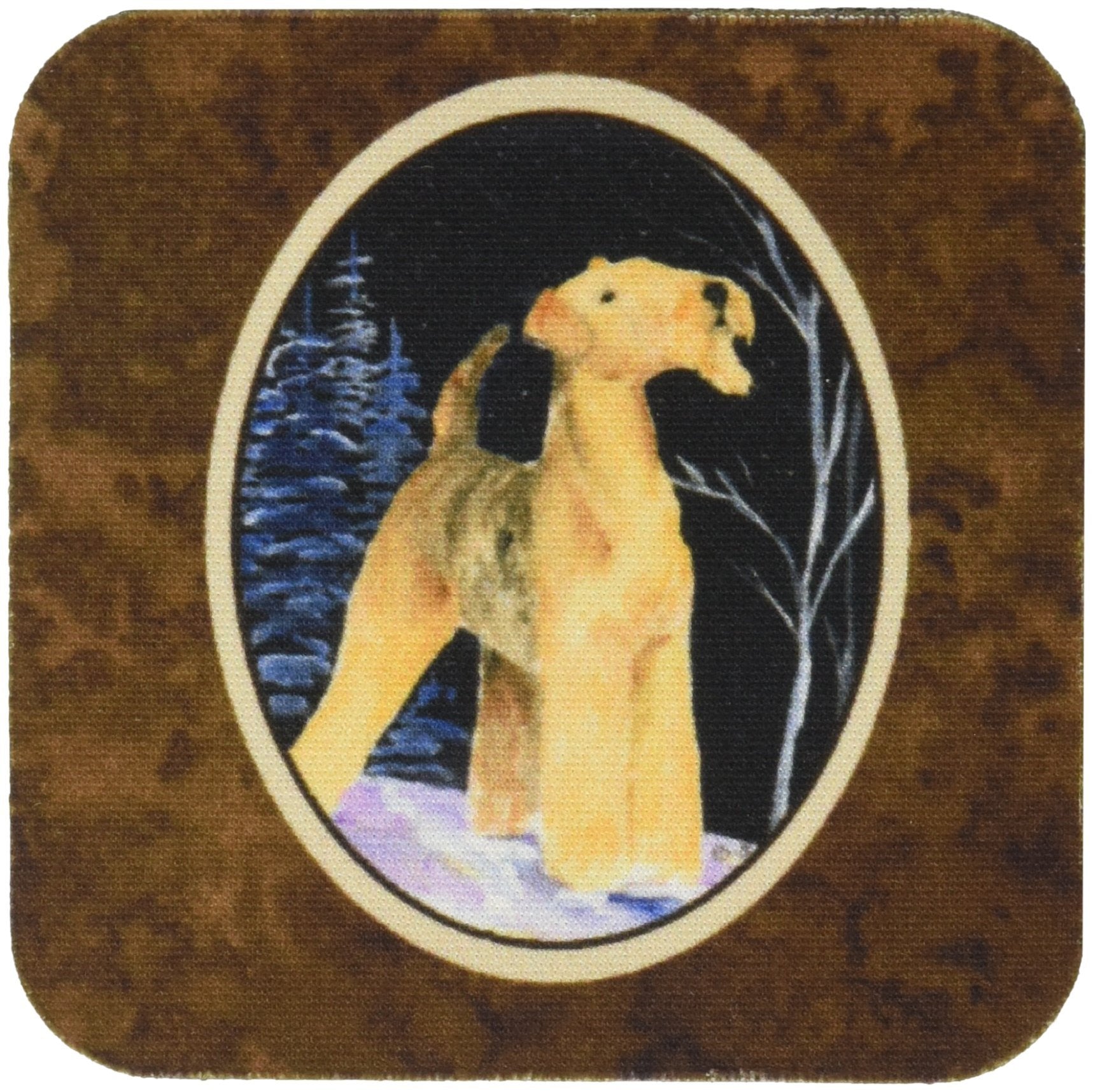 Carolines Treasures Starry Night Airedale Foam Coasters Set of 4 (Set of 4), 3.5 H x 3.5 W, Multicolor