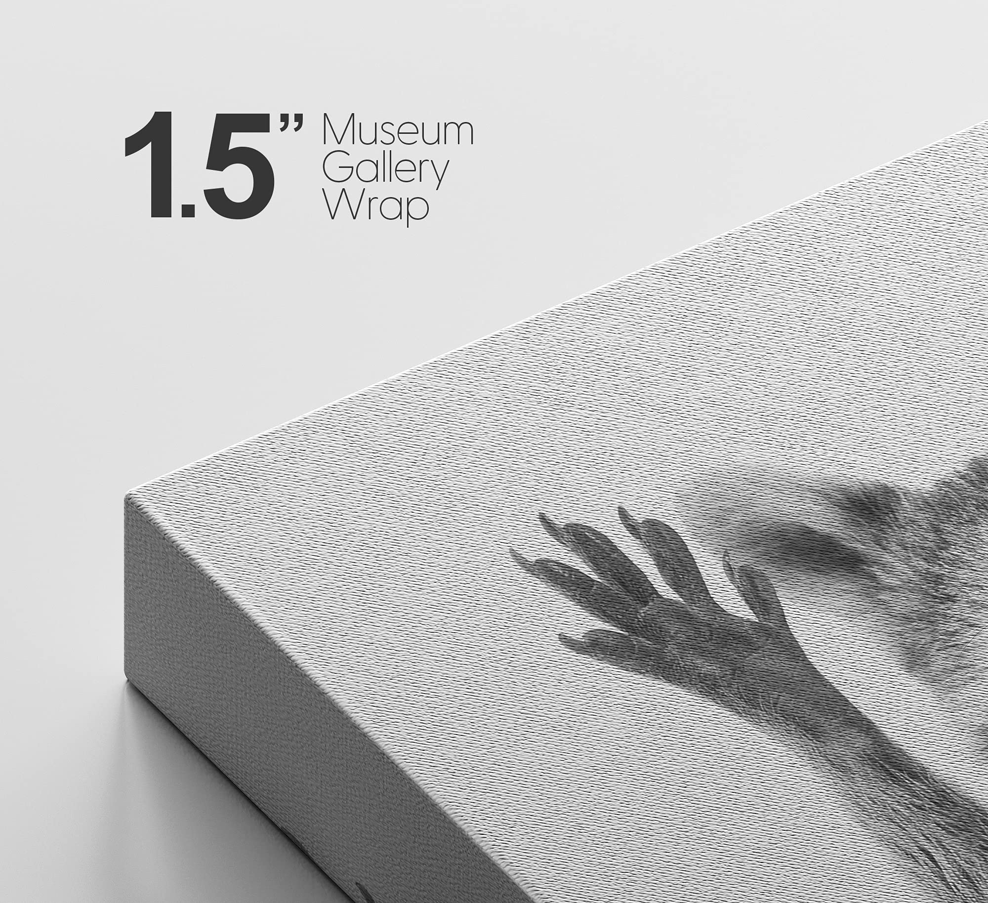 Signford Canvas Print Wall Art Raccoon Closeup Portrait Animals Wildlife Photography Realism Decorative Elements Relax/Calm Grey