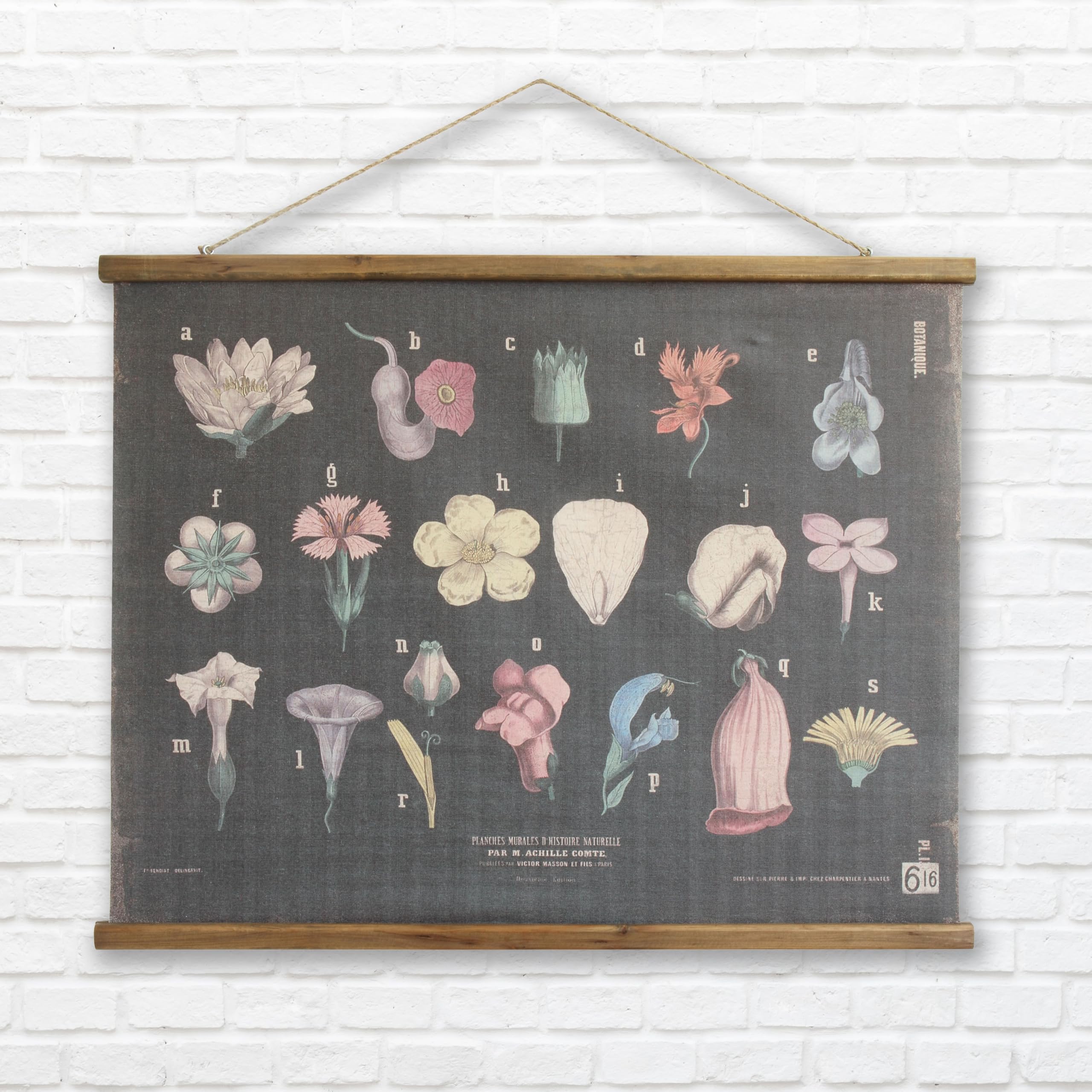Creative Co-Op Scientific Botanicals Linen & Wood Scroll Wall Poster