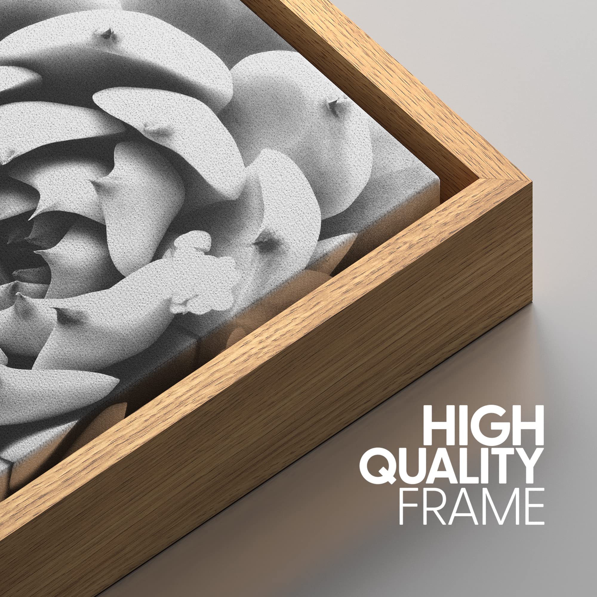 Signwin Framed Wall Art Print Set Echeveria & Haworthia Succulent Set Nature Plants Photography Modern Art Closeup Zen Black And