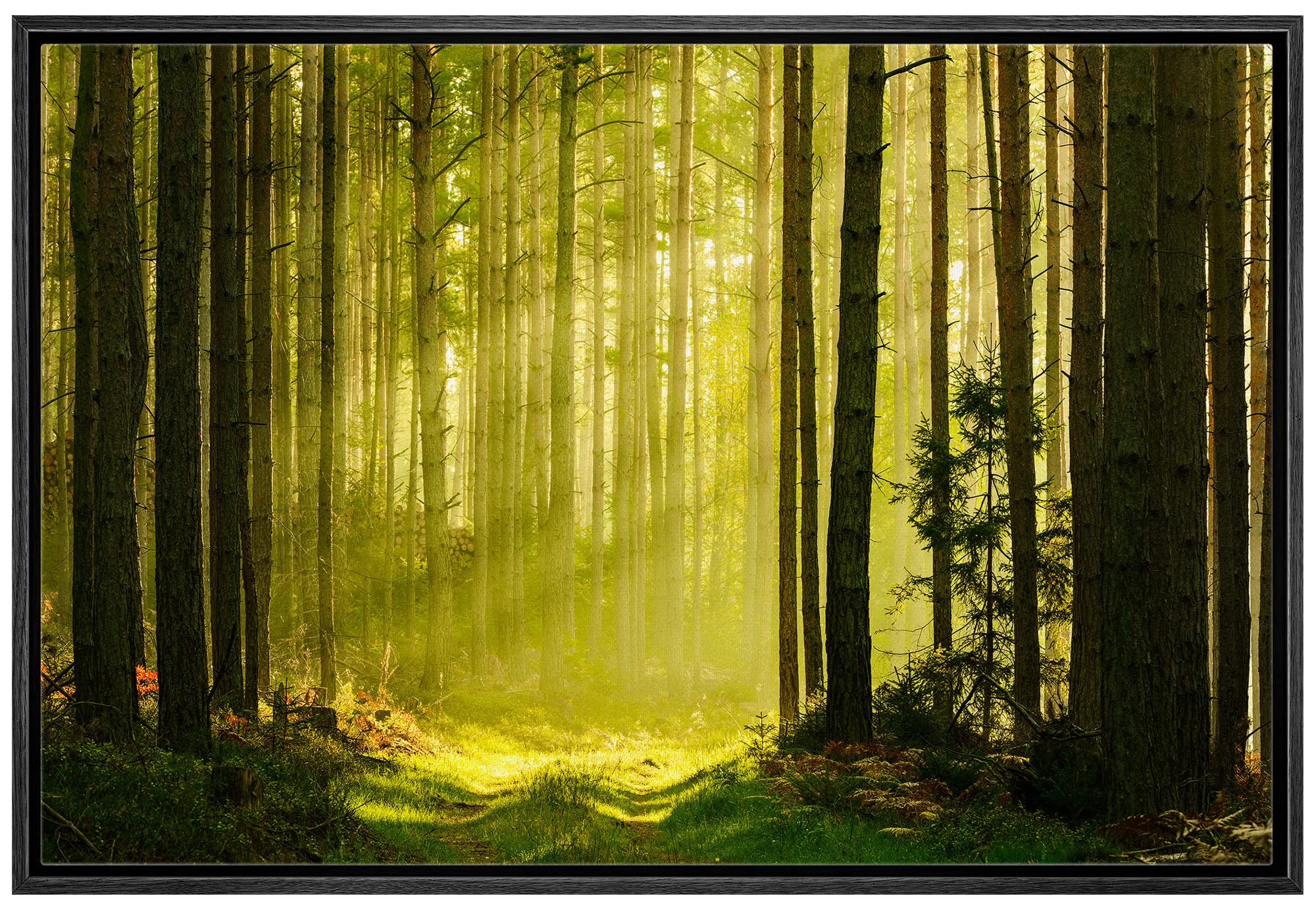 Wall26 Framed Canvas Print Wall Art Springtime Summer Sunlight Green Forest Nature Wilderness Photography Realism Earth Scenery