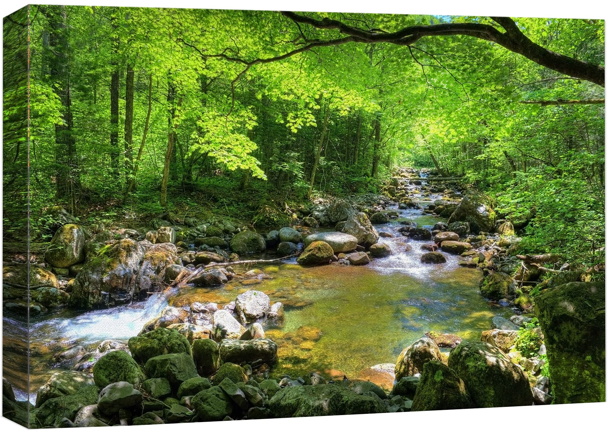 Wall26 Canvas Print Wall Art River Through The Green Forest Nature Wilderness Photography Modern Art Rustic Scenic Colorful Mult