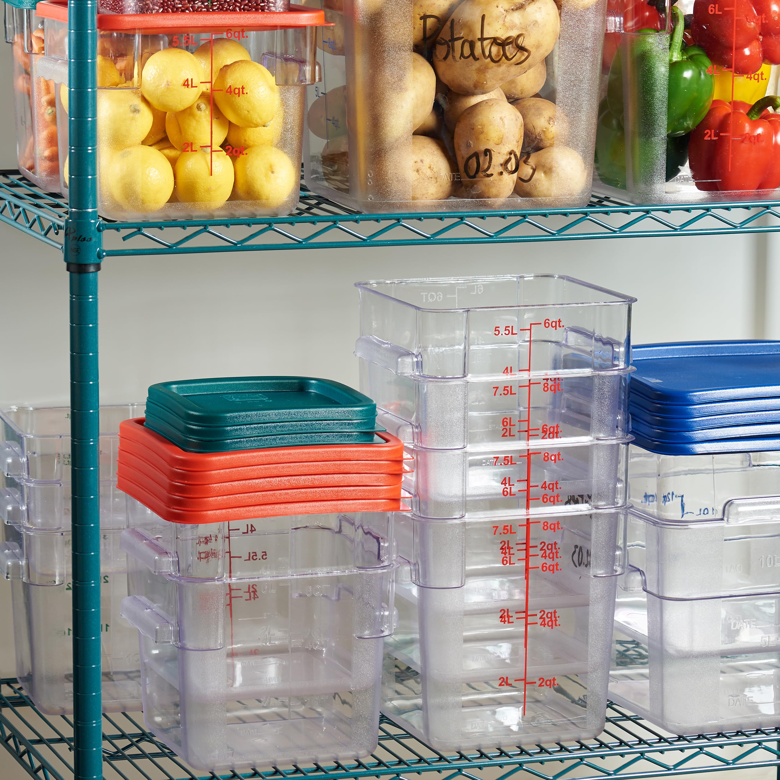 Curta 4 Pack Food Storage Container With Red Lid - Nsf Commercial Grade In 6.0 Qt - Square, Clear, Polycarbonate