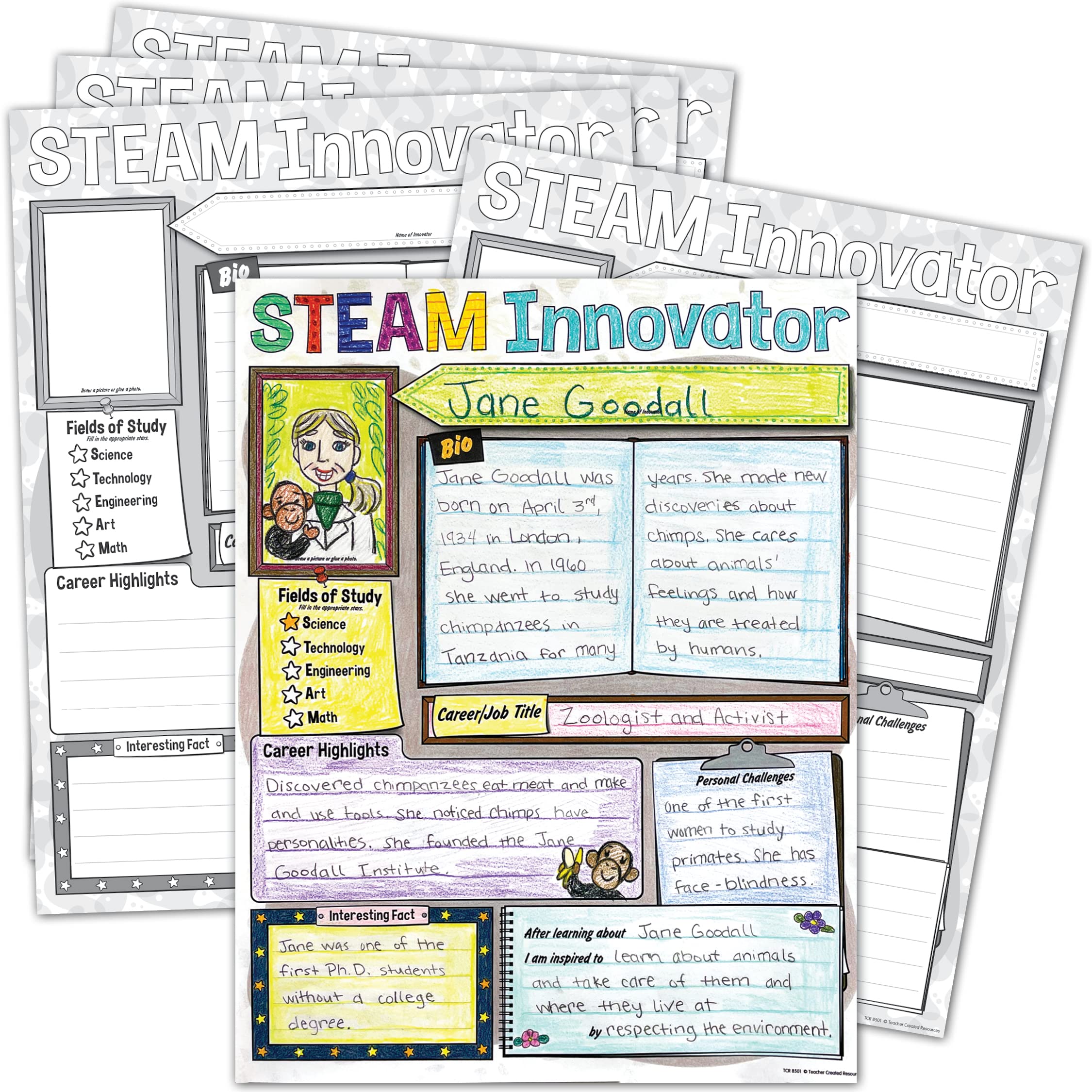 STEAM Innovator Poster Pack
