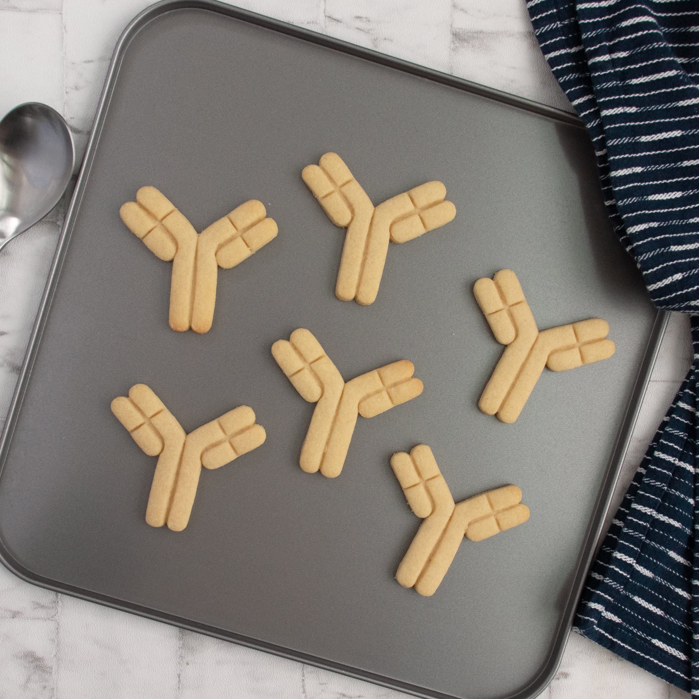 Antibody Cookie Cutter, 1 Piece - Bakerlogy