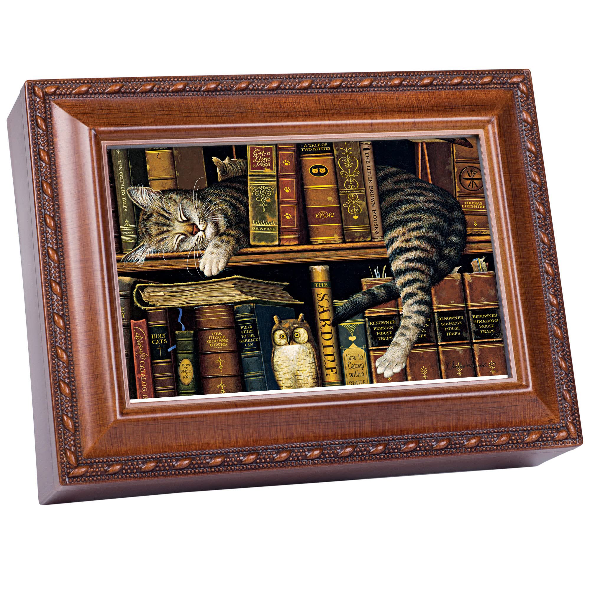 Cottage Garden Cat Sleeping in Library Woodgrain Rope Trim Music Box Plays Thats What Friends are for