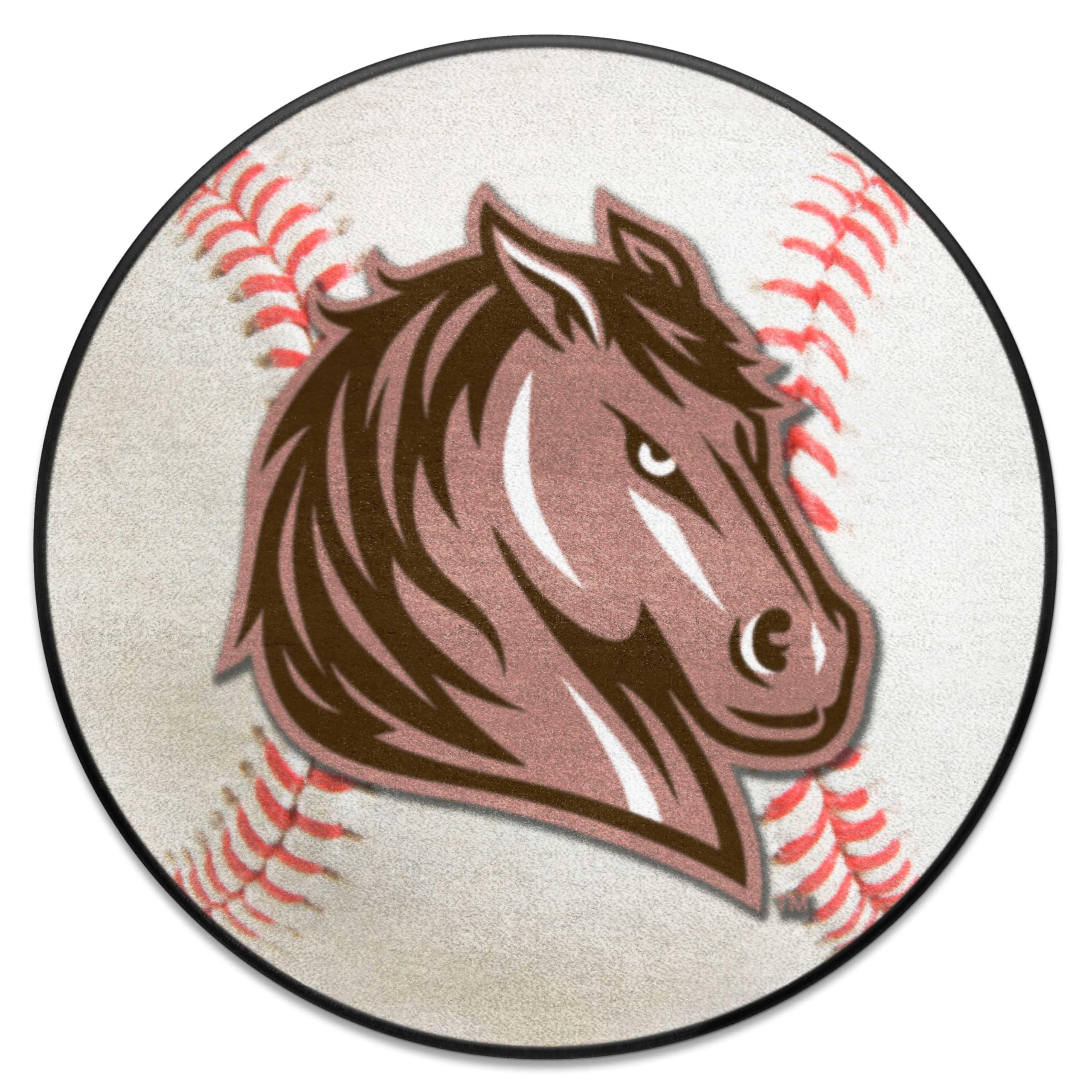 FANMATS 14084 Southwest Minnesota State Mustangs Baseball Shaped Accent Rug - 27in. Diameter