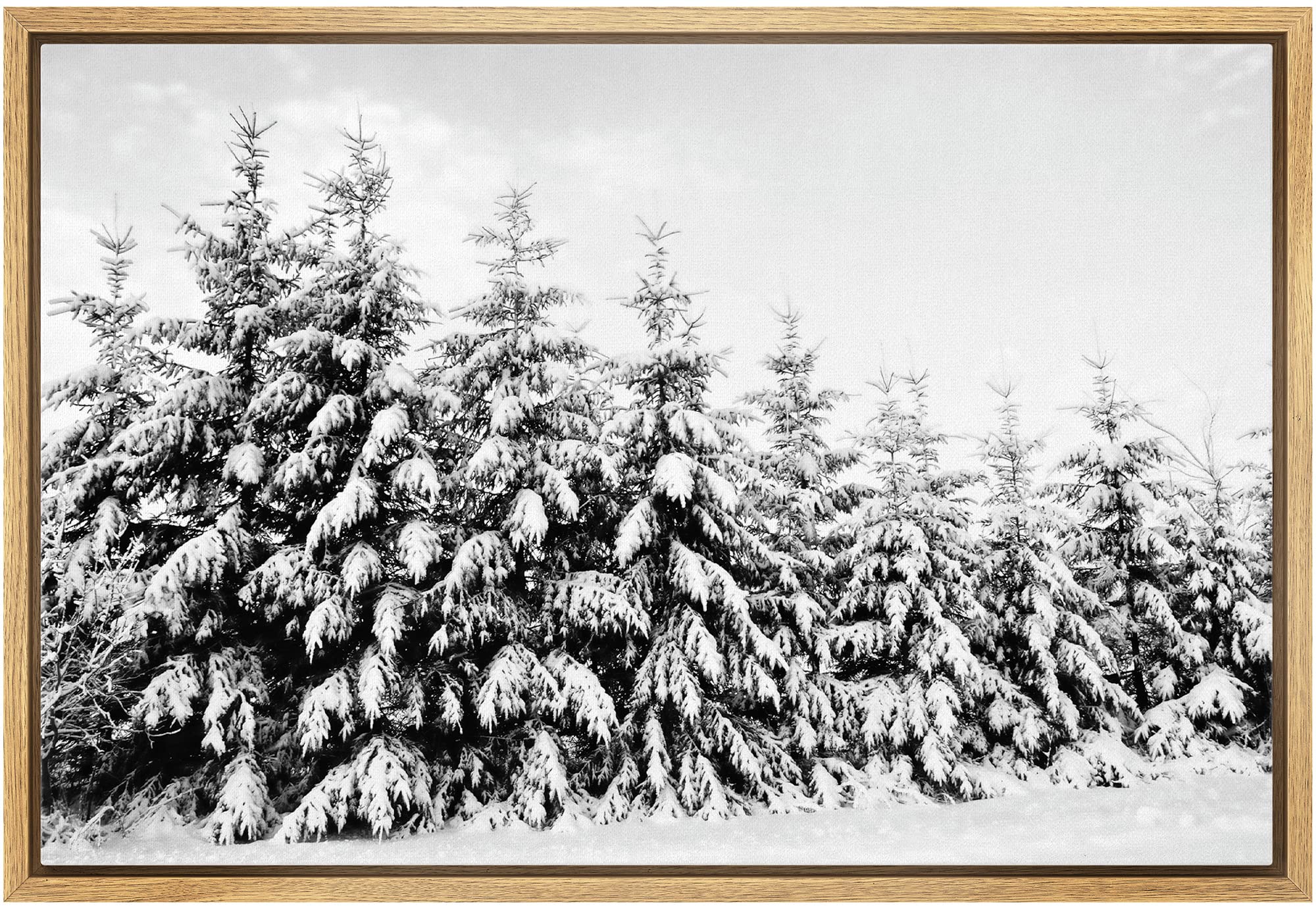 Wall26 Framed Canvas Print Wall Art Snow Covered Trees In The Winter Forest Floral Nature Photography Realism Expressive Dark Bl