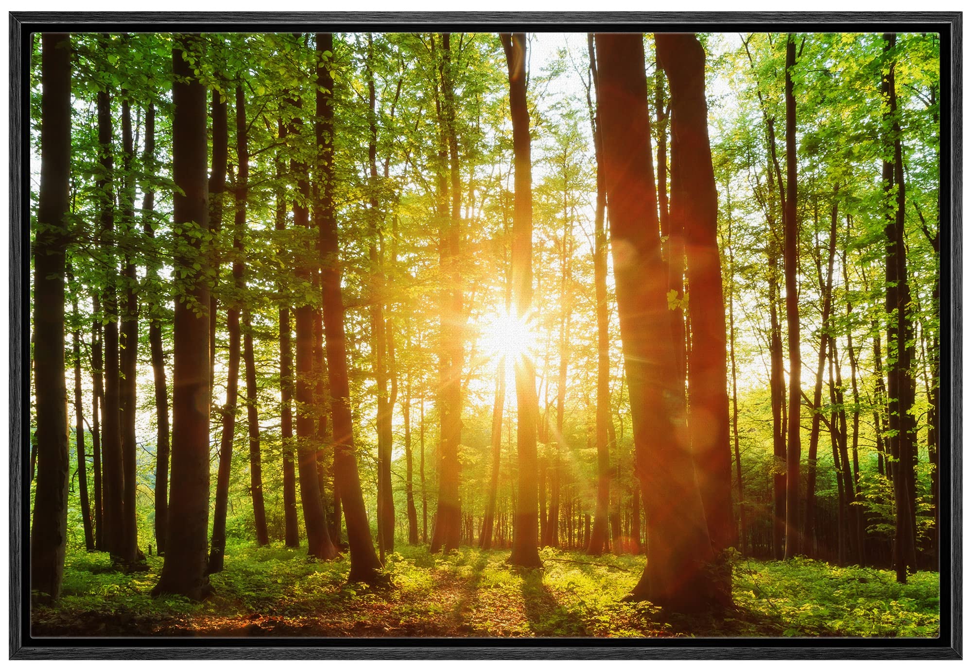Wall26 Framed Canvas Print Wall Art Sunrise Over The Green Forest Nature Wilderness Photography Modern Art Rustic Scenic Colorfu