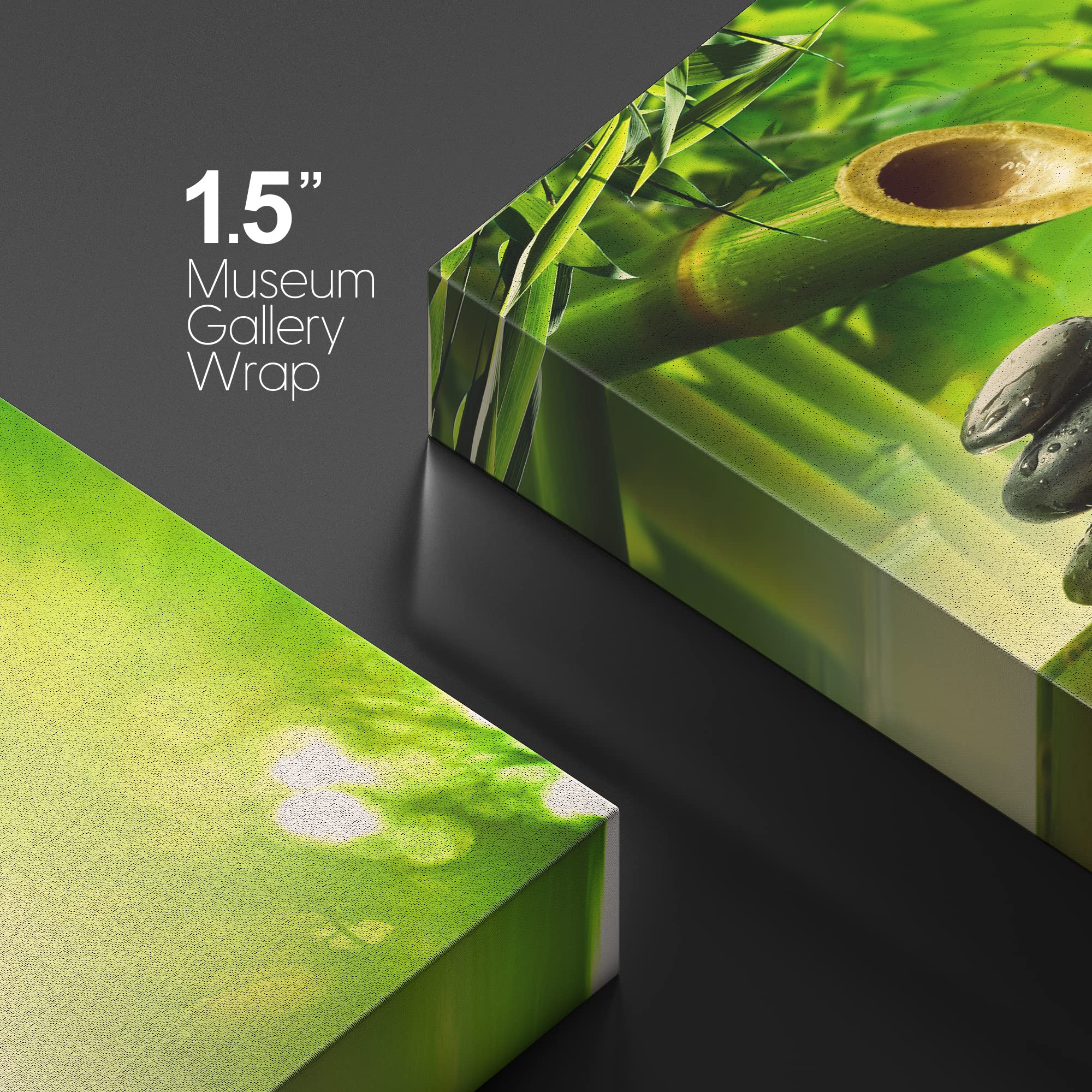 Wall26 Canvas Print Wall Art Zen Green Bamboo Daisy Flower Massage Stone Spa Jungle Nature Wilderness Photography Realism Landsc