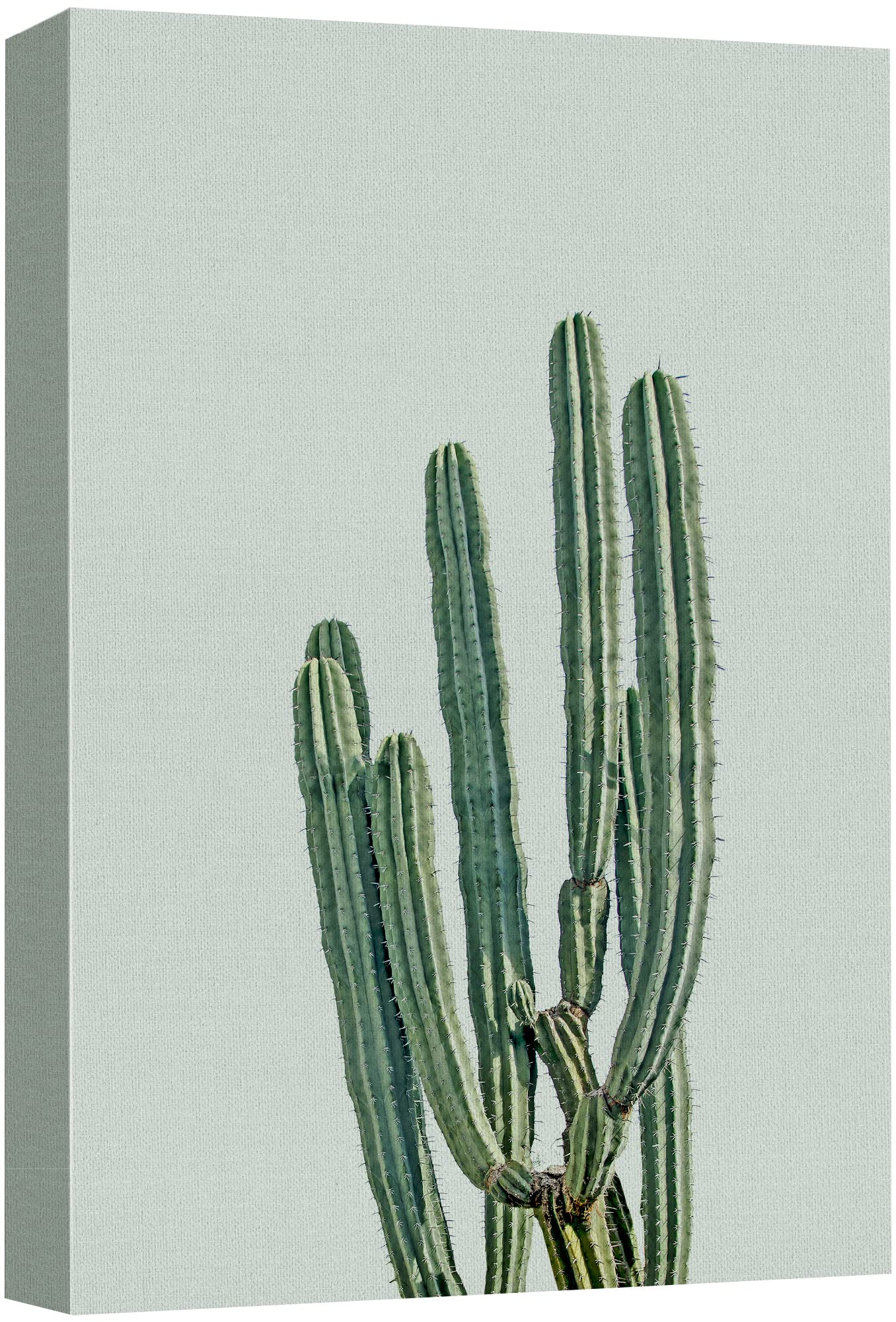 Wall26 Canvas Print Wall Art Southwestern Green Desert Cactus Floral Plants Photography Realism Rustic Closeup Colorful Multicol