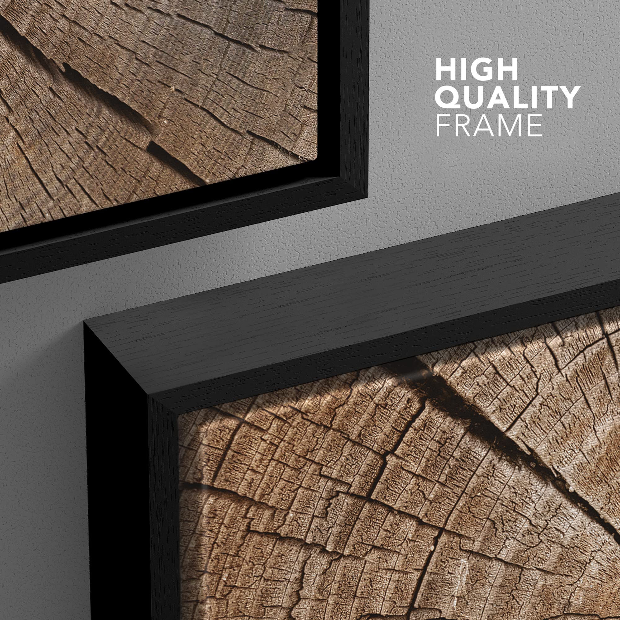 Wall26 Framed Canvas Print Wall Art Close Up Of Brown Log Rings Nature Wilderness Photography Rustic Botanical Modern Floral Rel