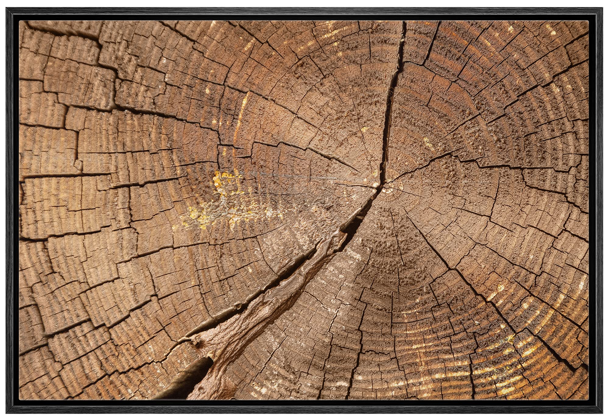 Wall26 Framed Canvas Print Wall Art Close Up Of Brown Wood Rings Nature Wilderness Photography Rustic Botanical Modern Floral Re