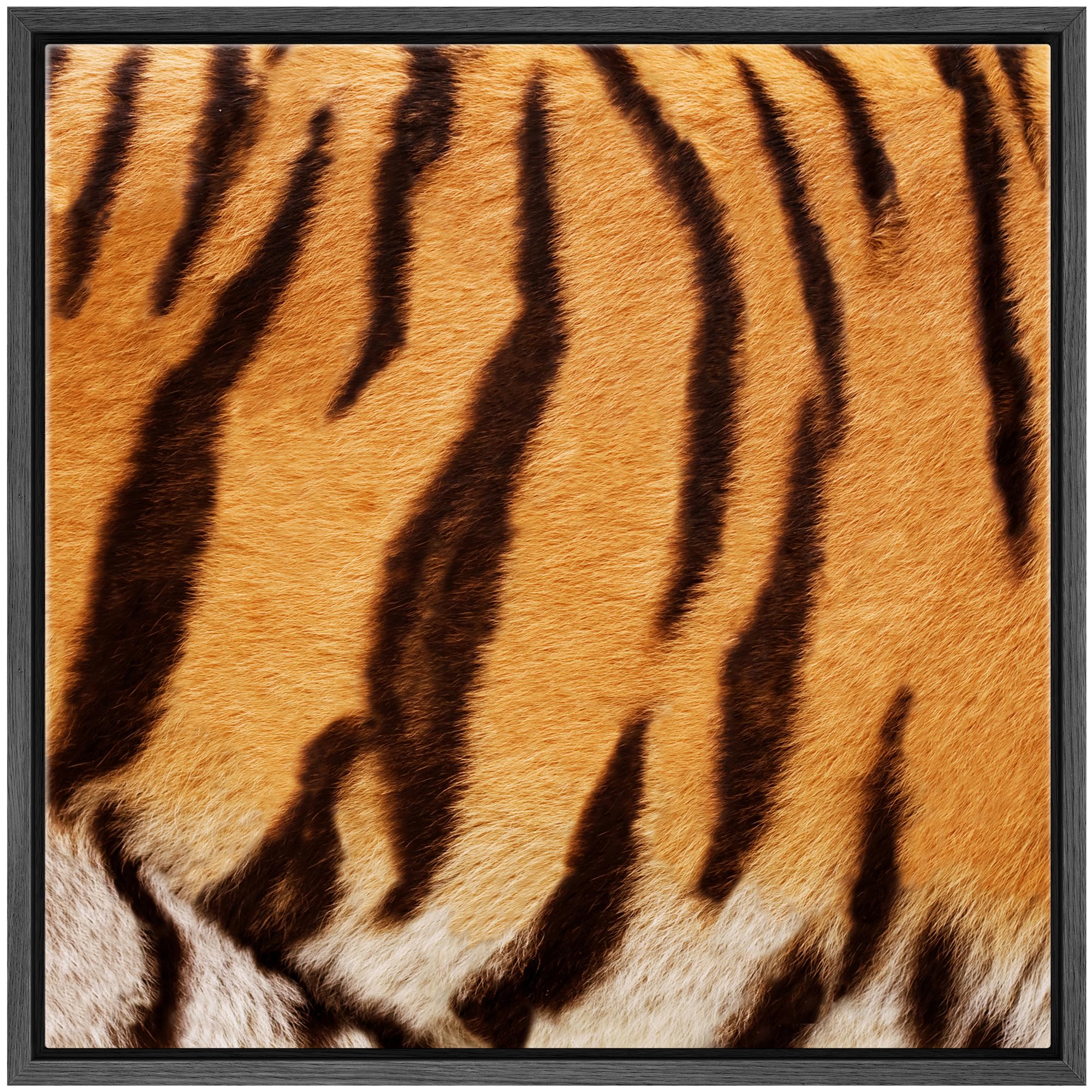 Wall26 Framed Framed Canvas Prints Wall Art Framed Framed Canvas Prints Wall Art - Tiger Fur/Skin Texture - 24''X24'' Black