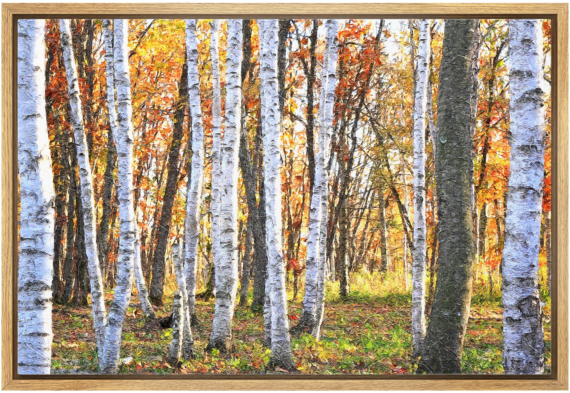 Wall26 Framed Canvas Print Wall Art White Birch Trees In Autumn Forest Nature Wilderness Photography Minimalism Rustic Scenic Co