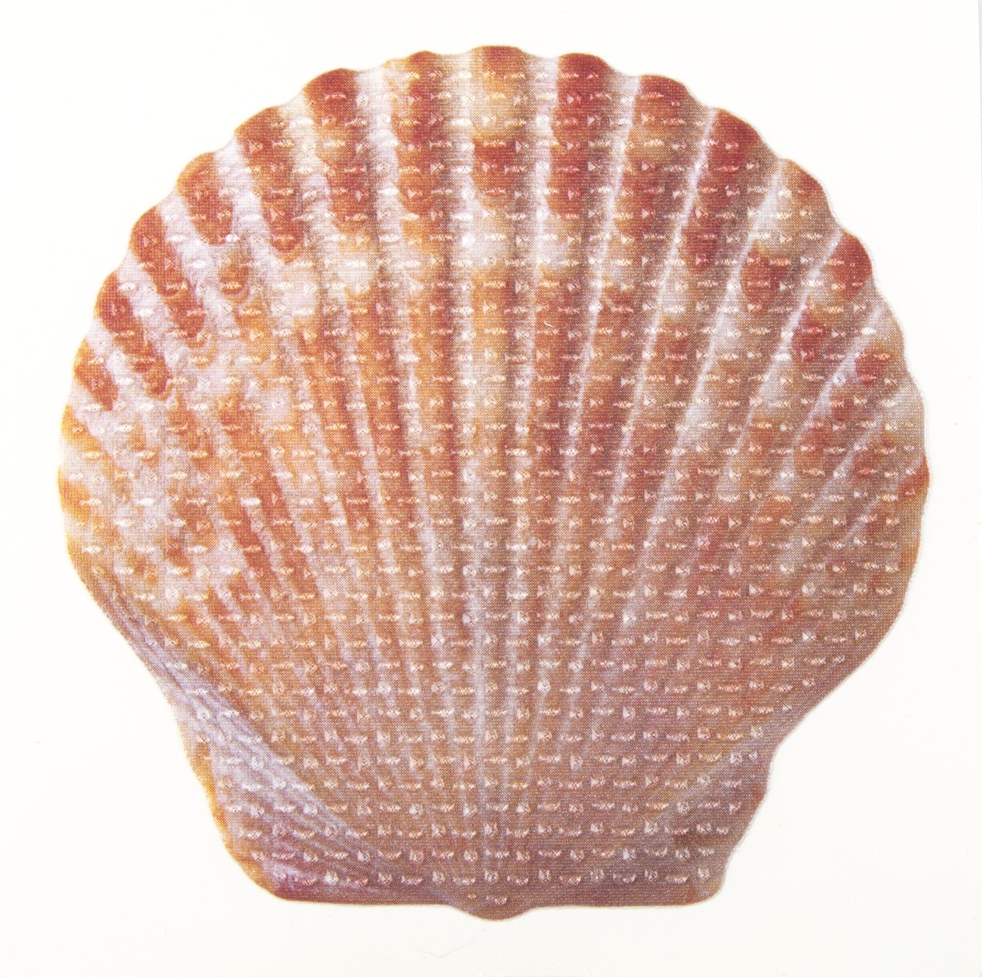 Ginsey Aquatouch Textured Shell Tub Treads - Built From Durable Pvc - Easy Installation - 10-Pack
