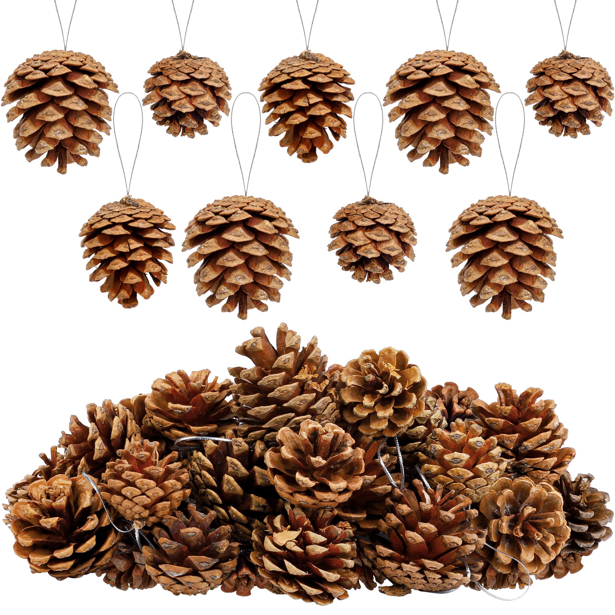 Fovths 30 Pieces 2 Size Christmas Pine Cones with String Mini Rustic Pinecones Bulk Ornaments for Xmas Tree Crafts Holiday Home 