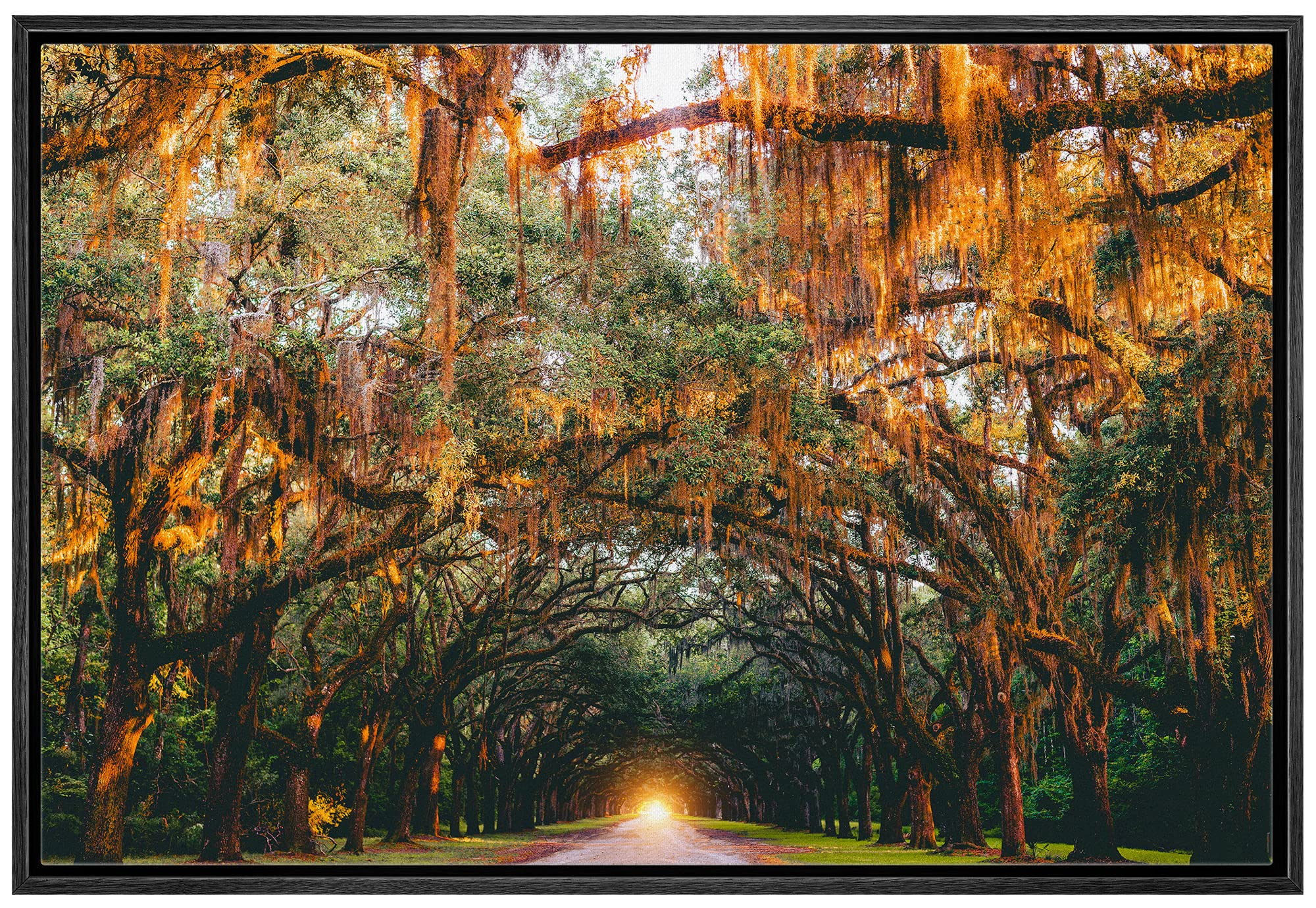Wall26 Framed Canvas Print Wall Art Autumn Fall Orange Hanging Tree Canopy Nature Wilderness Photography Realism Rustic Scenic L