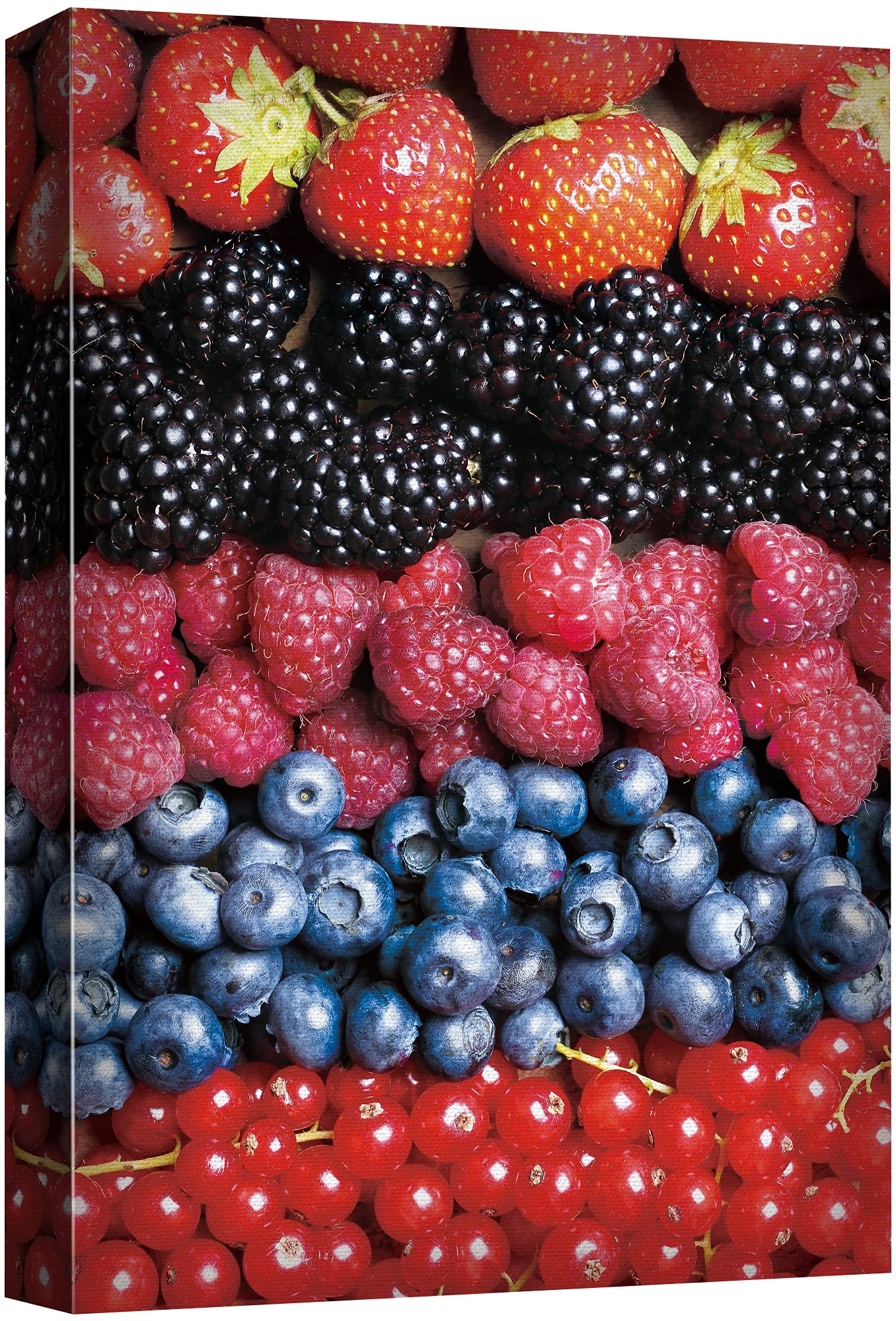 Signford Canvas Print Wall Art Variety Of Different Berries Fruit Family Photography Modern Art Decorative Elements Closeup Colo