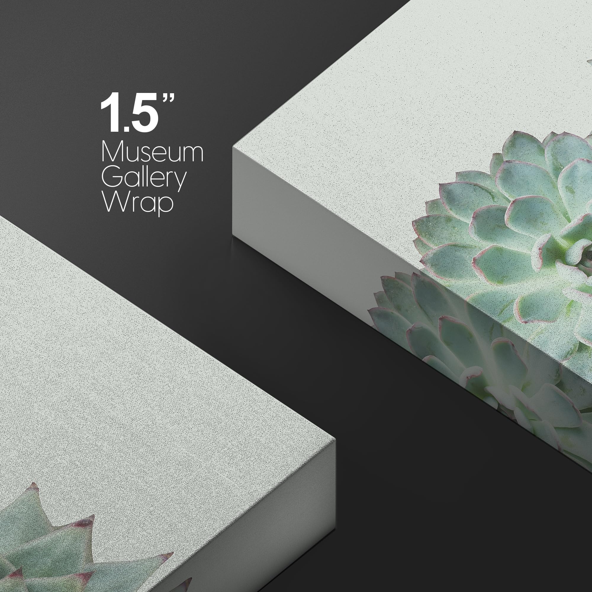 Wall26 Canvas Print Wall Art Variety Of Green Desert Succulents Floral Plants Photography Realism Rustic Closeup Colorful Multic