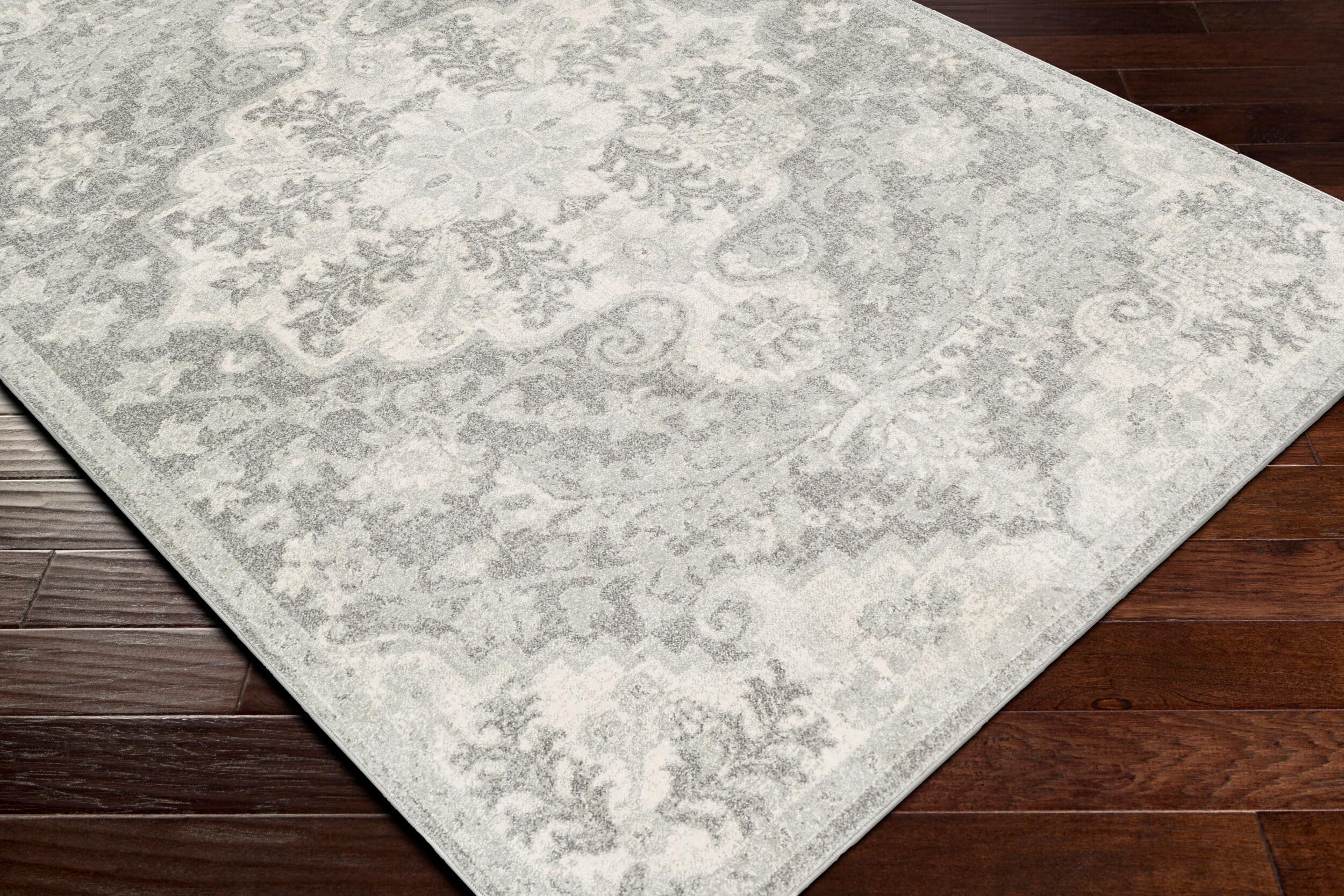 Livabliss Area Rugs - 9x12 Odelia Vintage Boho Black Gray Charcoal Area Rug for Living Room Bedroom - Floral Medallion Stain Res