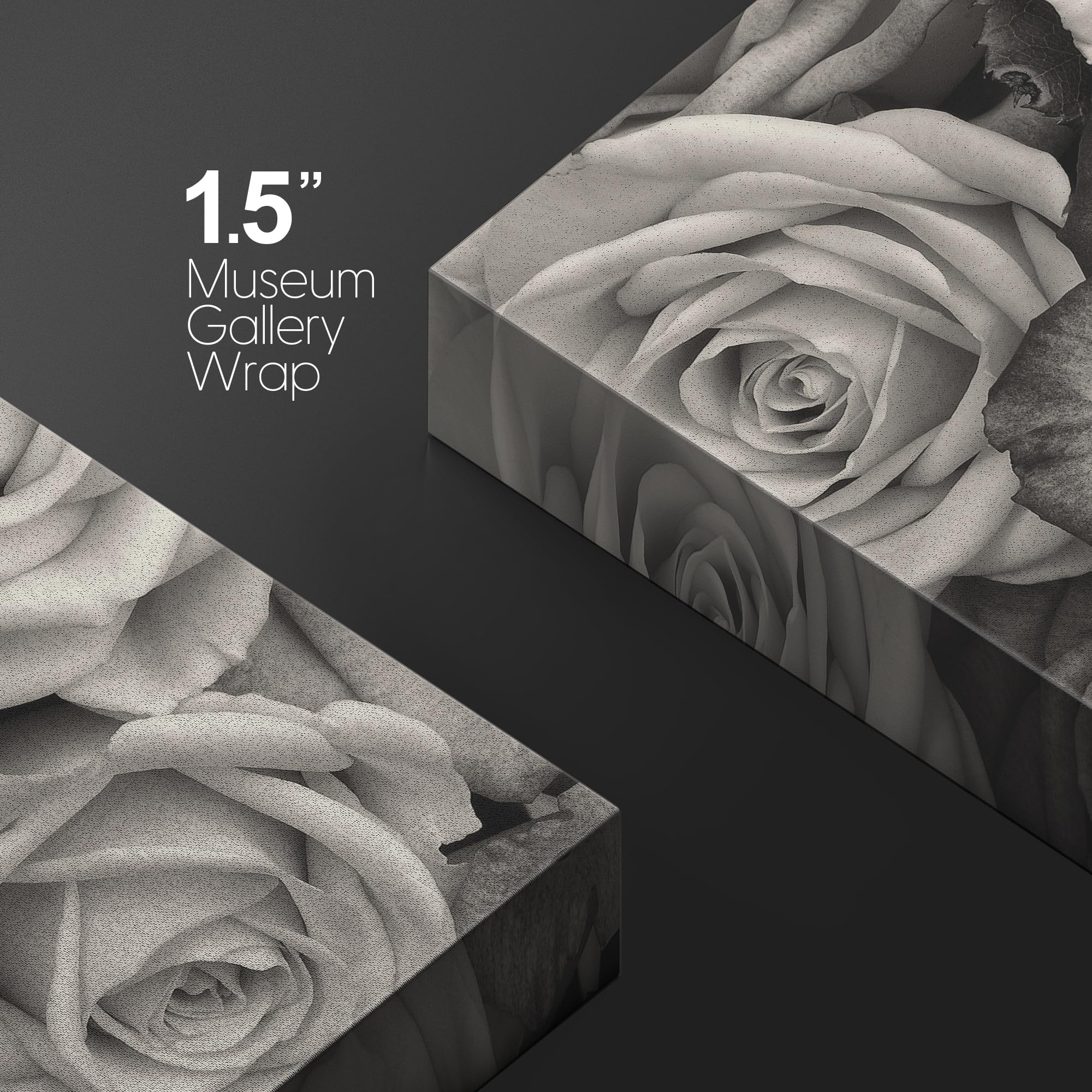 Wall26 Canvas Print Wall Art Premium Monochromatic Roses Gallery Wrapped Luxurious Floral Nature Wilderness Photography Modern A