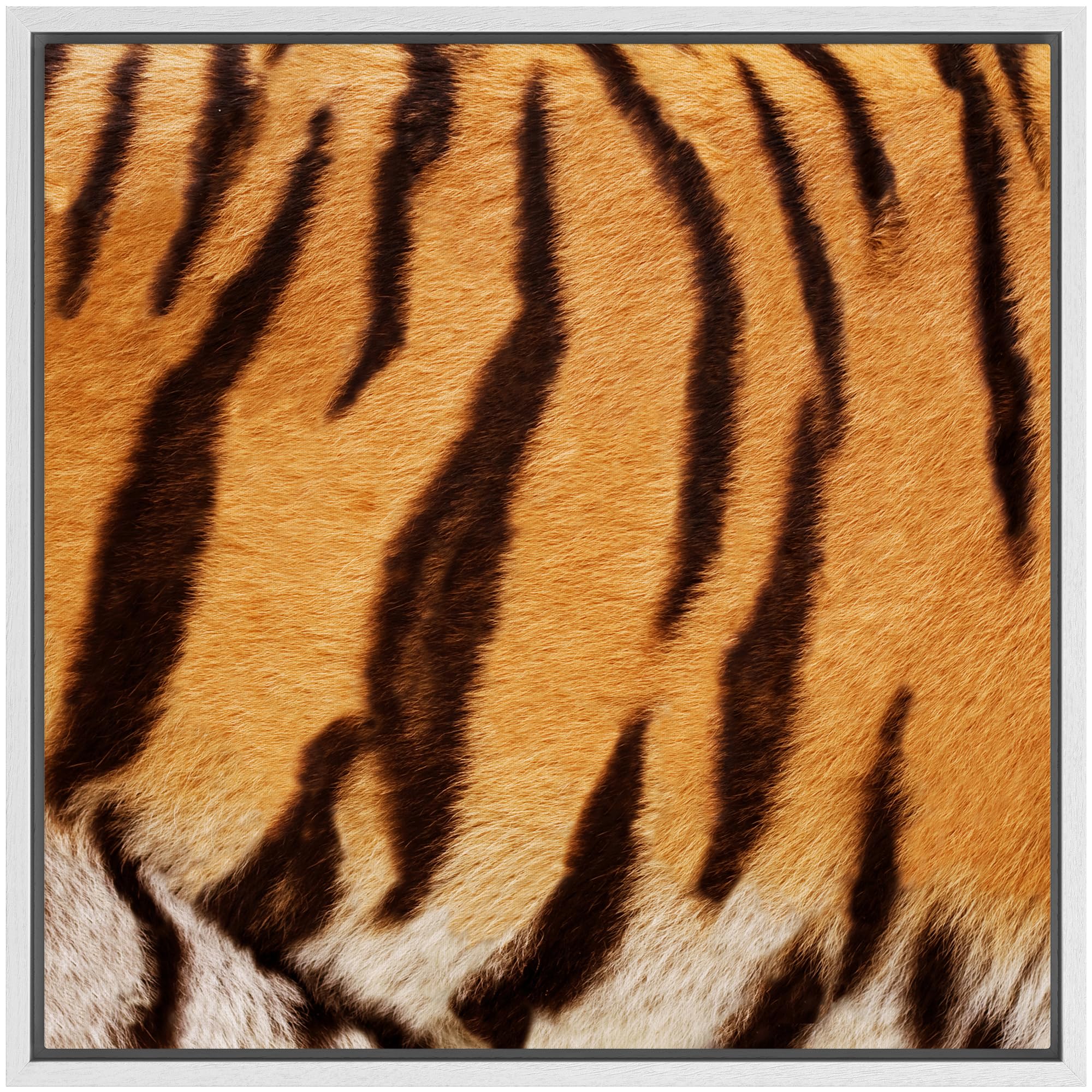 Wall26 Framed Framed Canvas Prints Wall Art Framed Framed Canvas Prints Wall Art - Tiger Fur/Skin Texture - 16''X16'' White