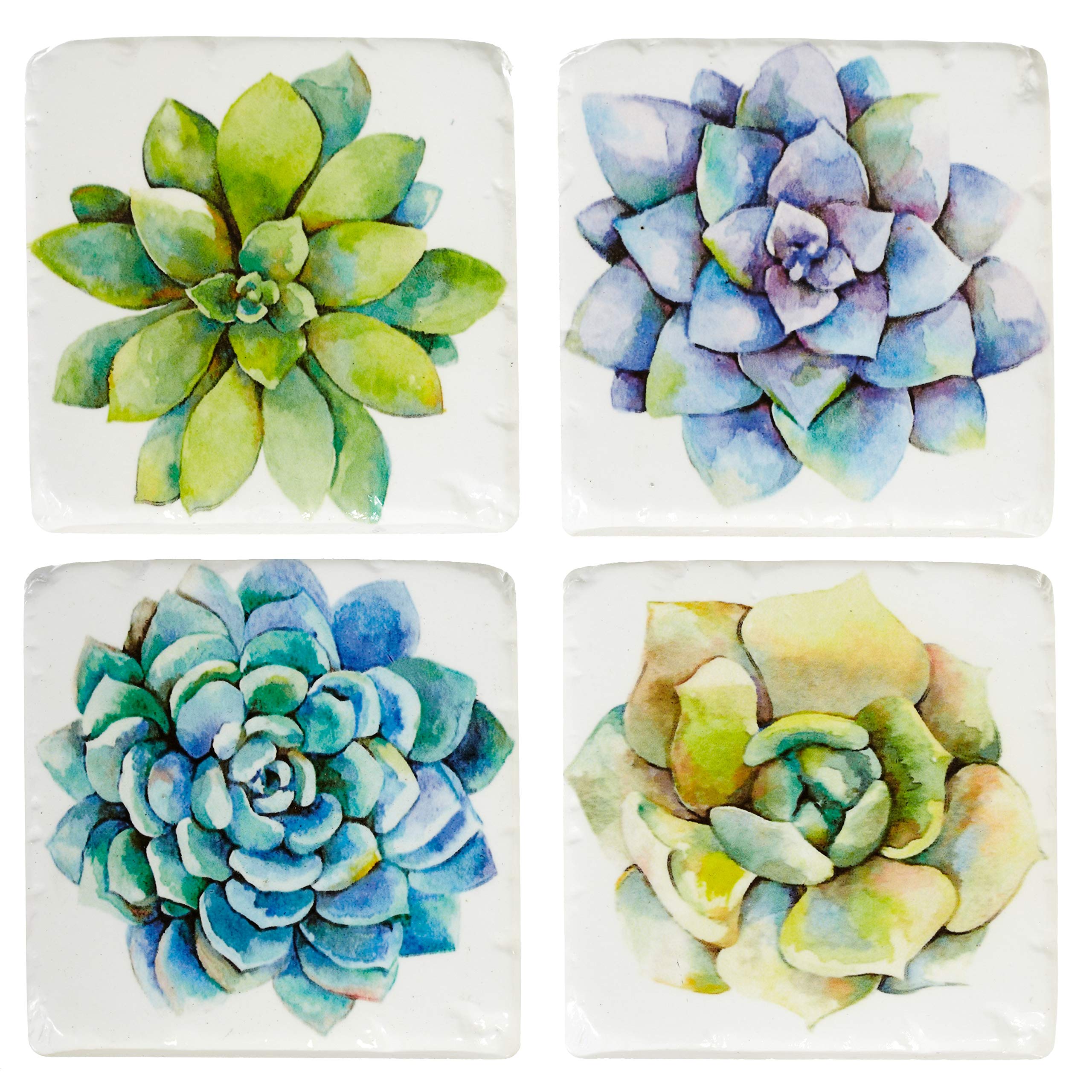 Midwest Succulent Plants Drink Coasters Set Of 4 Resin
