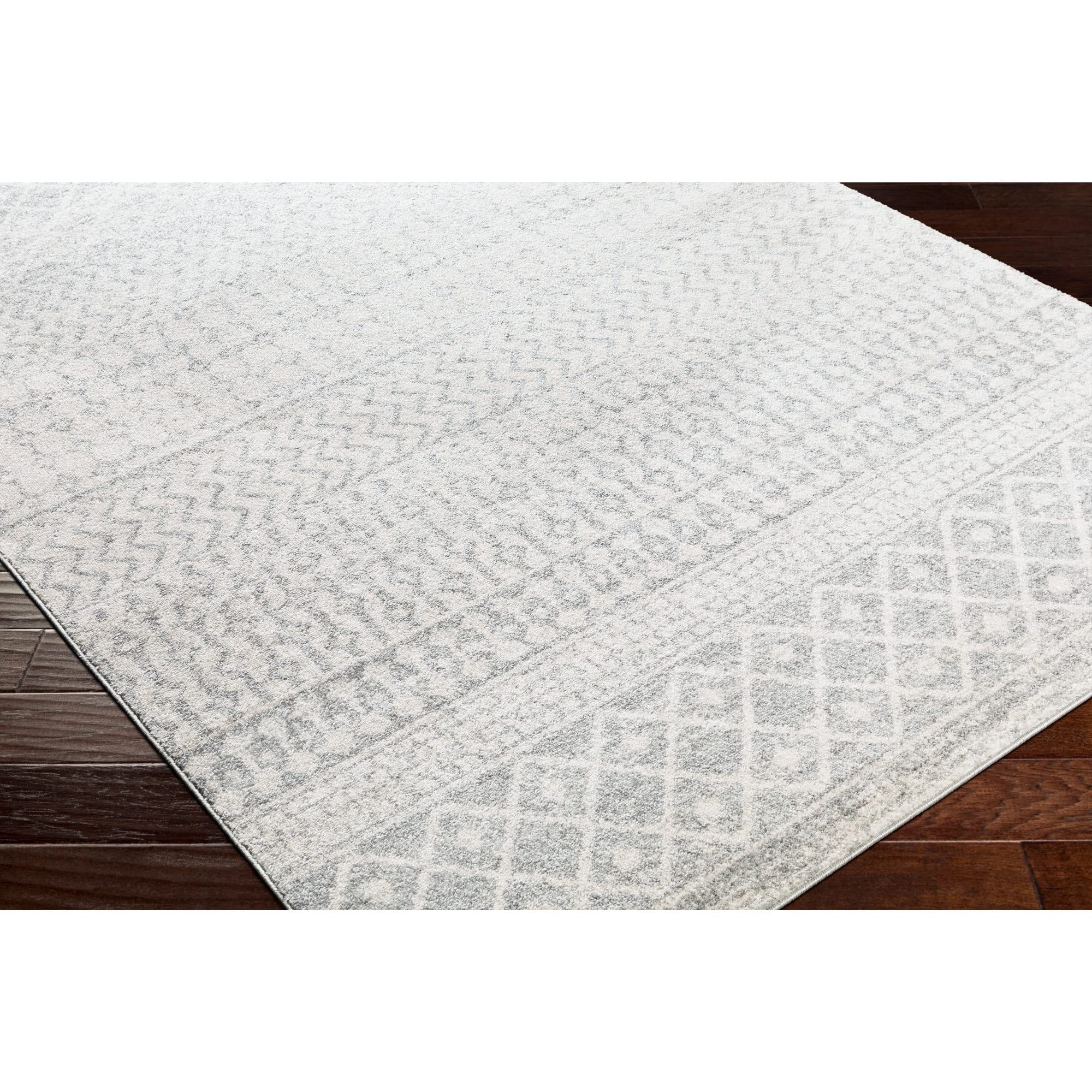 Livabliss Area Rugs - 5ft Round Chester Boho Moroccan Gray Rug for Living Room Bedroom - Grey White Geometric Stain Resistant Ca