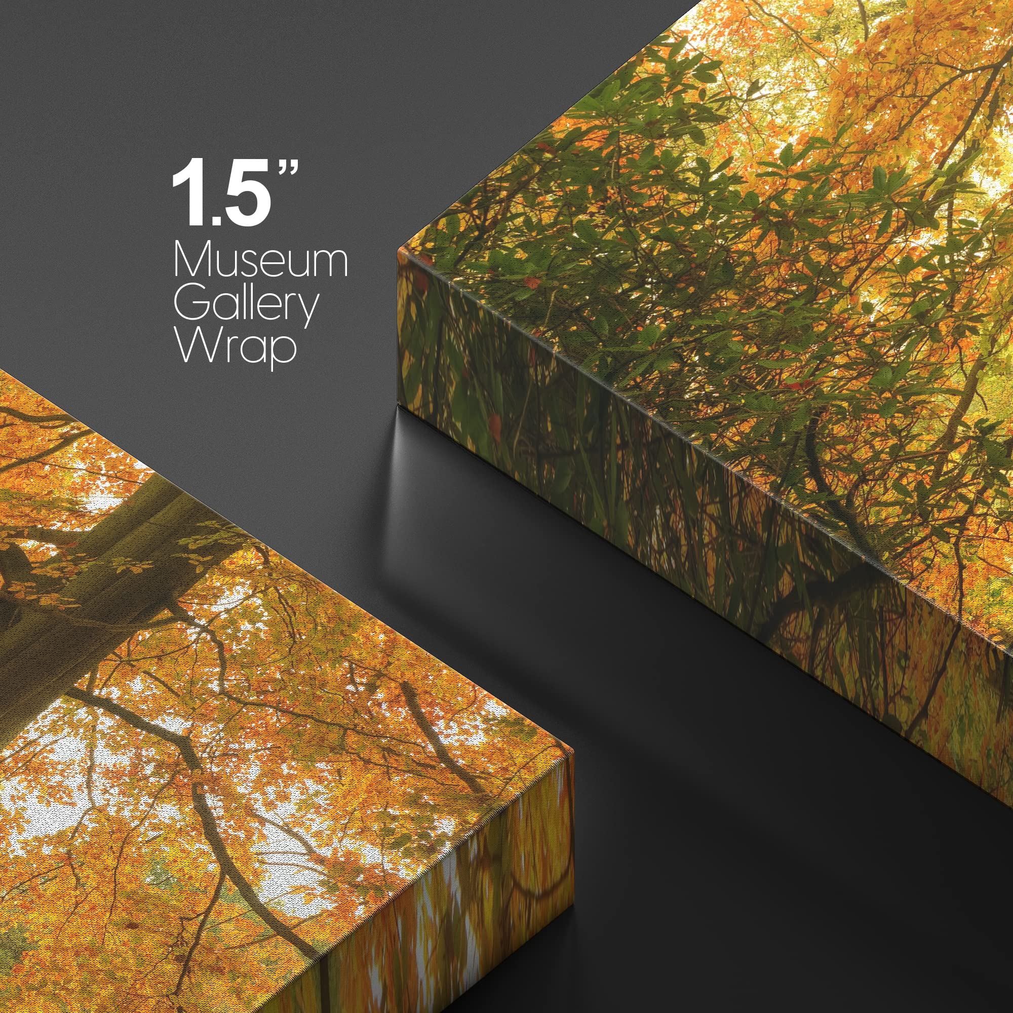 Wall26 Canvas Print Wall Art Yellow & Orange Autumn And Fall Forest Floral Nature Photography Realism Rustic Scenic Relax/Calm M