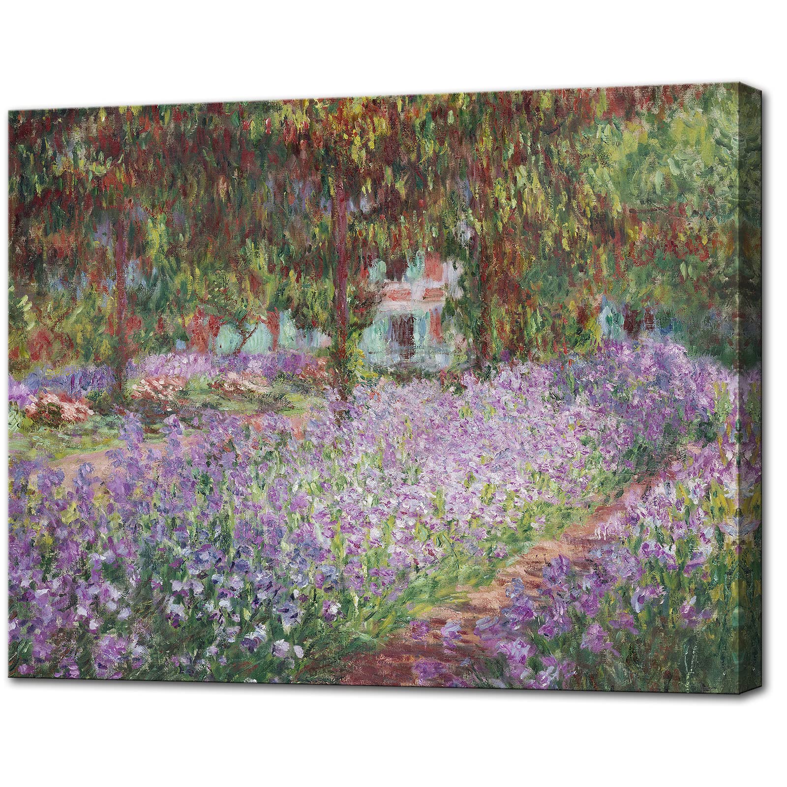 Irises In Monet'S Garden, 1900 By Claude Monet - Large Canvas Art Wall Decor Painting Print Framed -24'' X 36''