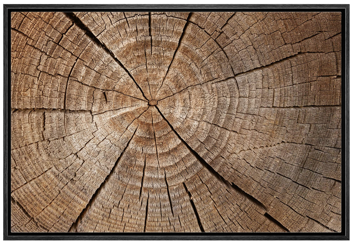 Wall26 Framed Canvas Print Wall Art Close Up Of Brown Log Rings Nature Wilderness Photography Rustic Botanical Modern Floral Rel