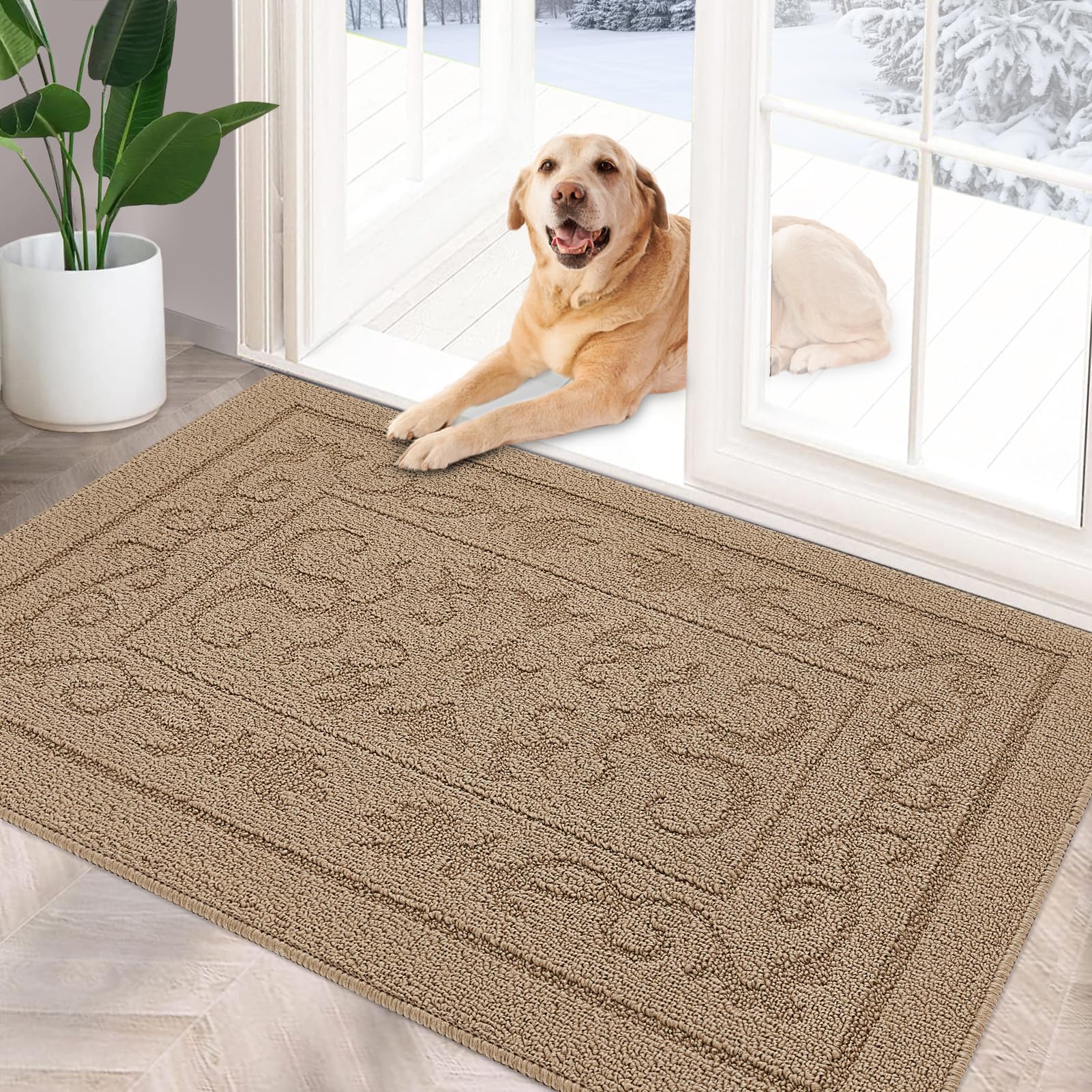 Foneyi Indoor Door Mat, Front Back Door Mat 20'' X 32'' Non-Slip Rubber Backing Door Rug, Machine Washable Entry Rug, Low Profil