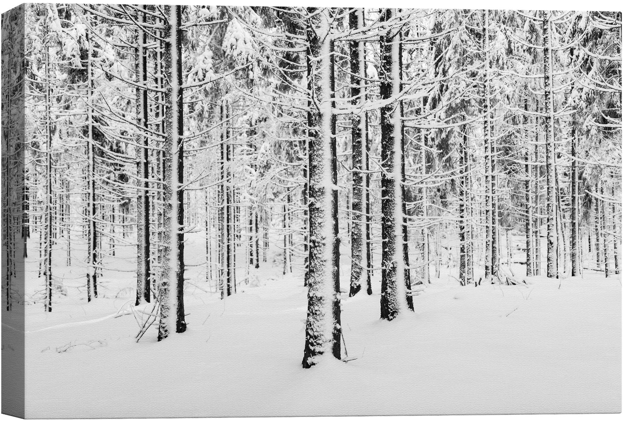 Signwin Canvas Wall Art Winter Snow Covered Birch Trees On The Hillside Nature Forest Modern Art Traditional Scenic Dramatic Bla