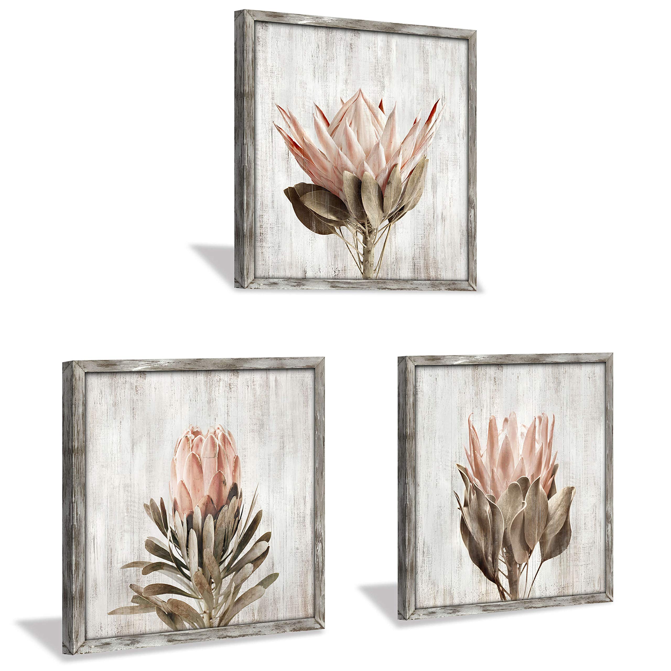 Pink Floral Wall Art Picture: Blossom Protea Flower Artwork Print On Rustic Wood Framed For Home Decor (12    X 12    X 3 Panels