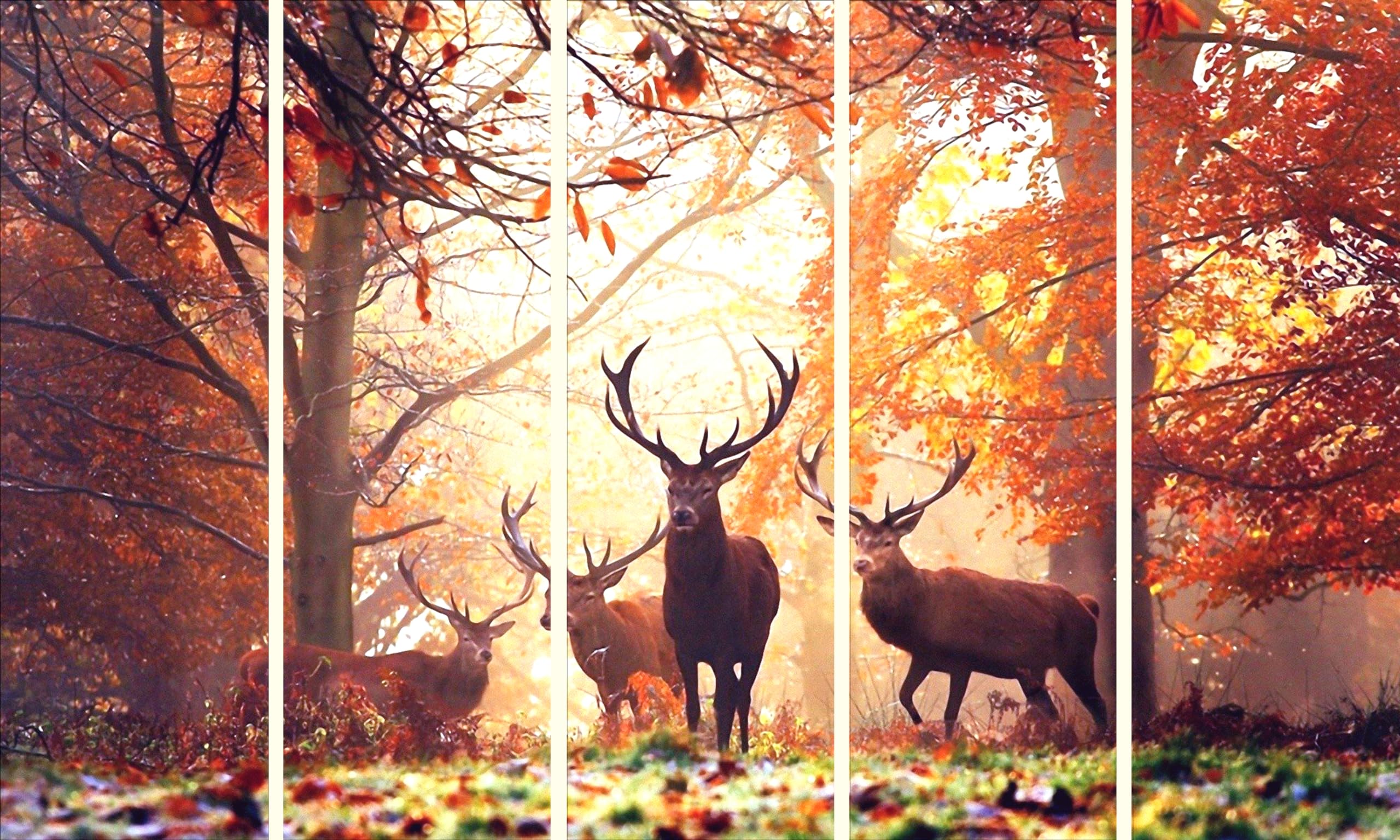 Kyara Arts Multiple Frames, Beautiful Deers Nature Wall Painting For Living Room, Bedroom, Office, Hotels, Drawing Room Wooden F