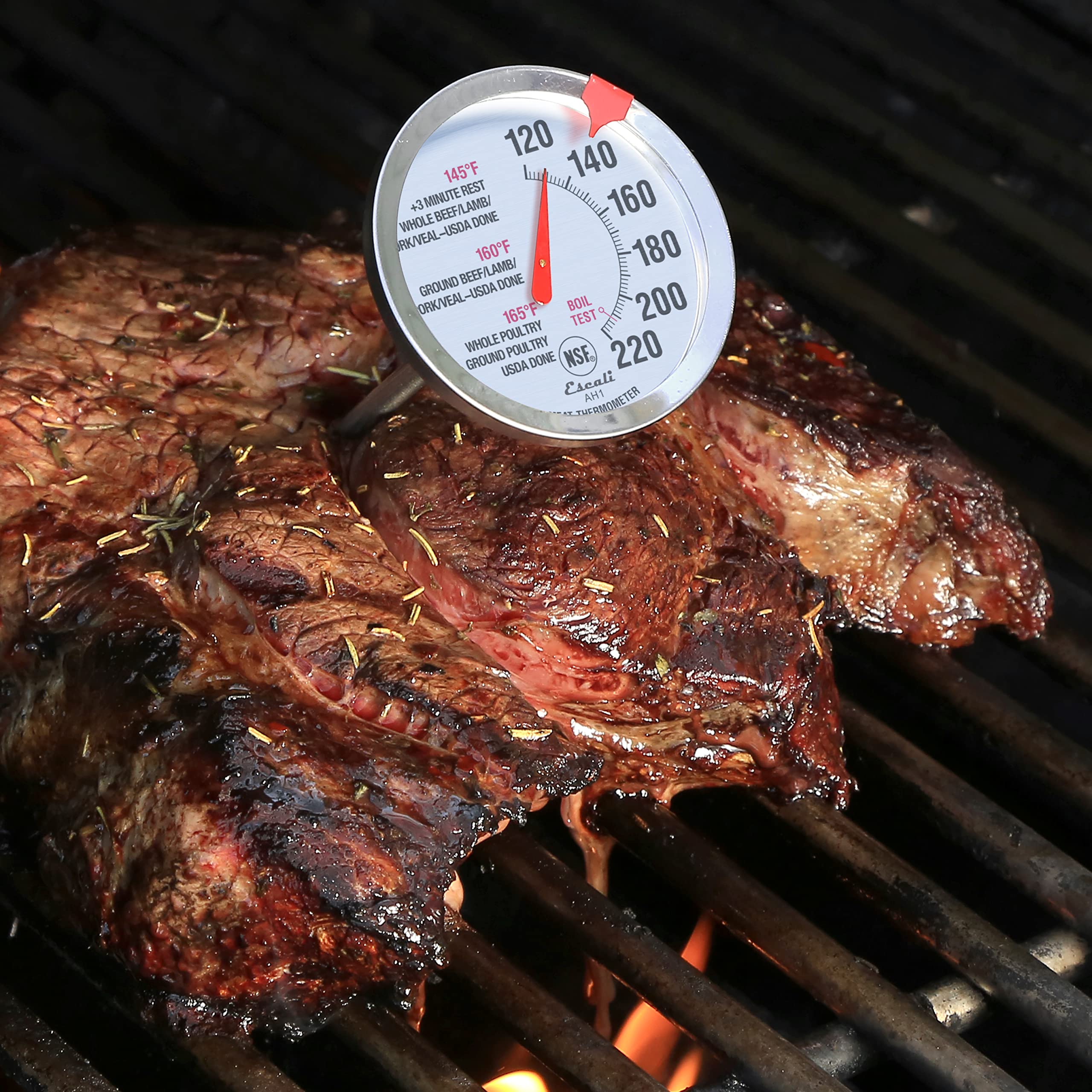 Escali Ah1 Stainless Steel Oven Safe Meat Thermometer, Extra Large 2.5-Inches Dial, Temperature Labeled For Beef, Poultry, Pork,