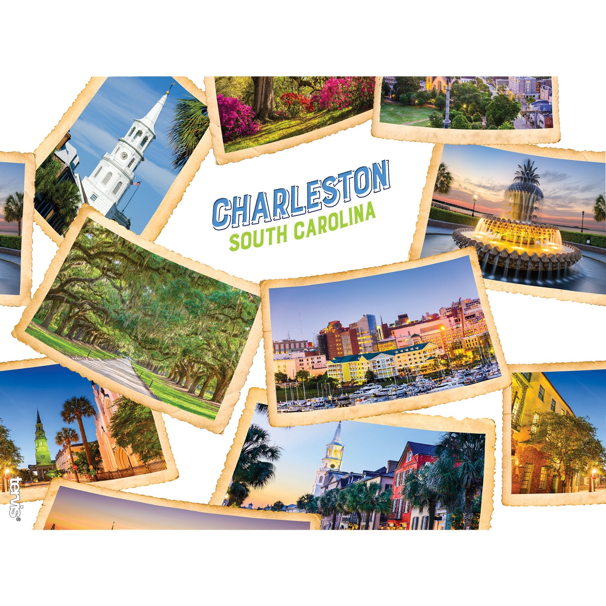Tervis South Carolina - Charleston Made In Usa Double Walled Insulated Tumbler Travel Cup Keeps Drinks Cold & Hot, 24Oz - No Lid