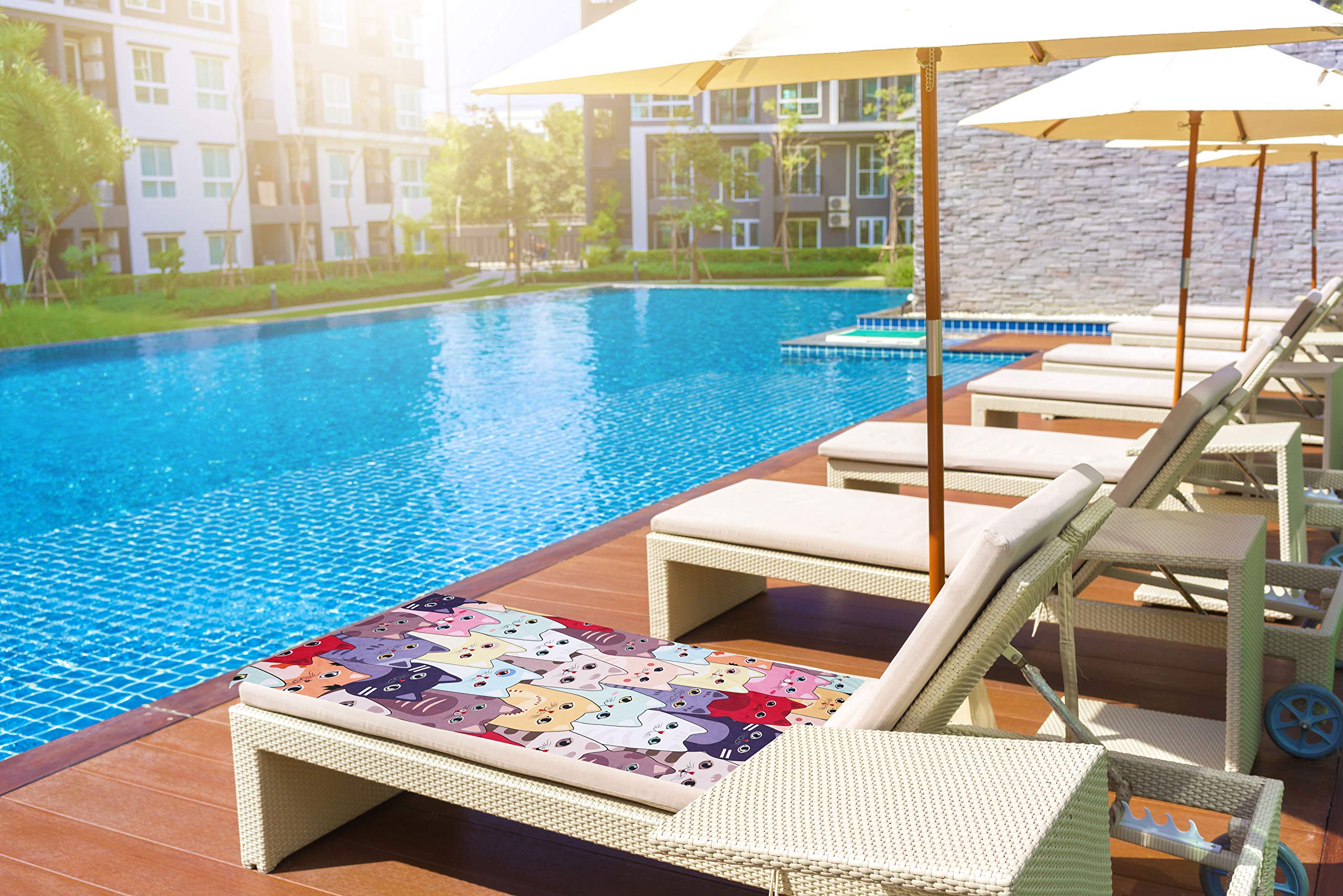 Livilan Large Kitten Cat Beach Towel, 30'' X 60'' Soft Microfiber, Absorbent, Quick Dry, Sand Free, Light, Multiuse For Bath, Po