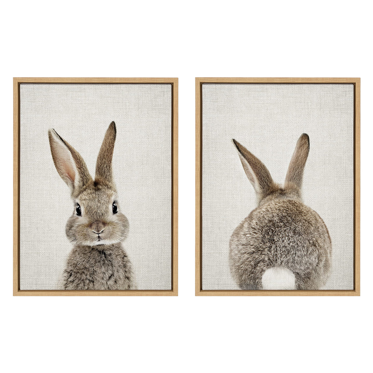 Kate And Laurel Sylvie Bunny Portrait And Bunny Tail Framed Canvas Wall Art By Amy Peterson, 18X24 Natural, Cute Baby Animal Art