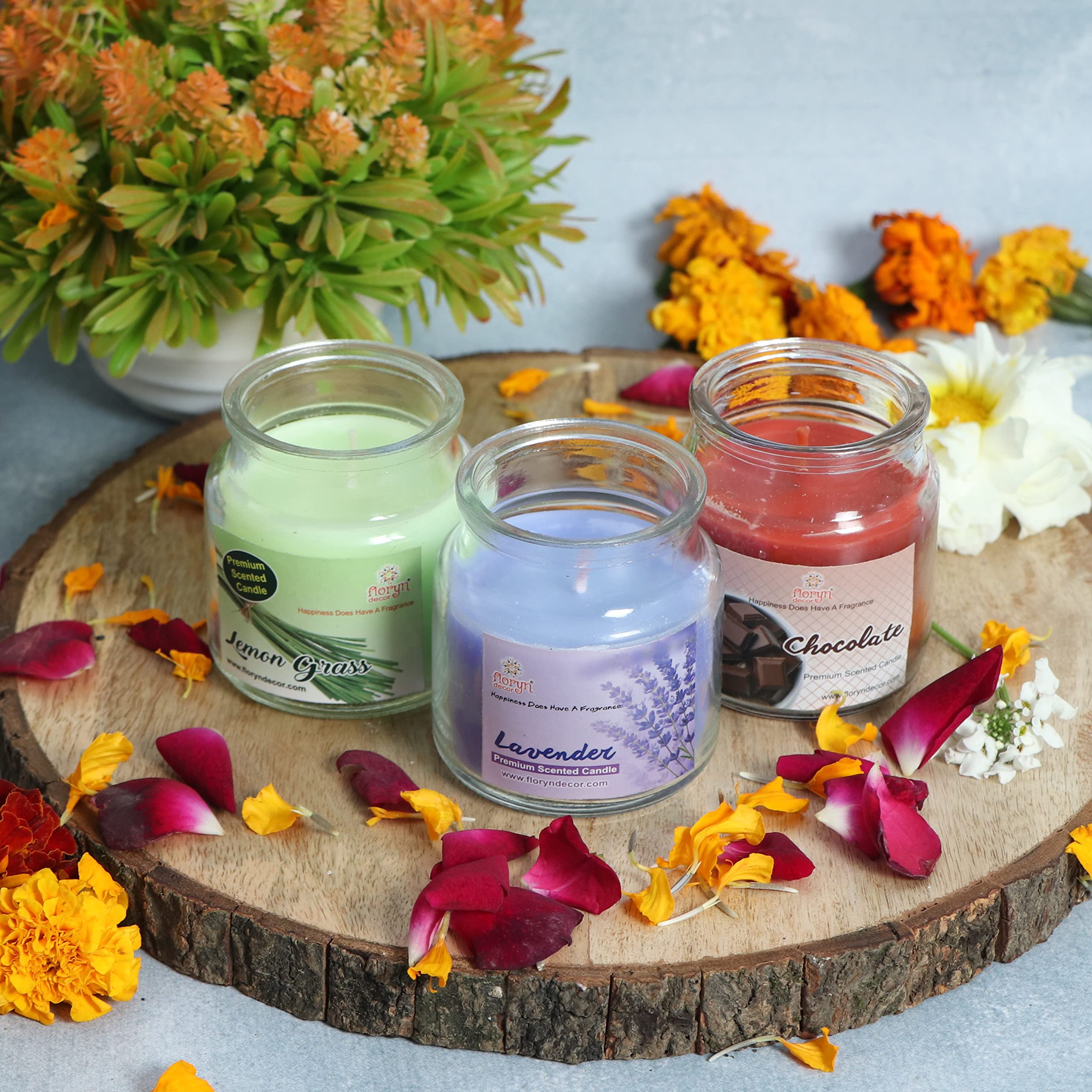 Floryn Decor Scented Cookie Jar Candle | Pack of 3 | Scented Jar Candle (Lavender | Lemon Grass | Chocolate)
