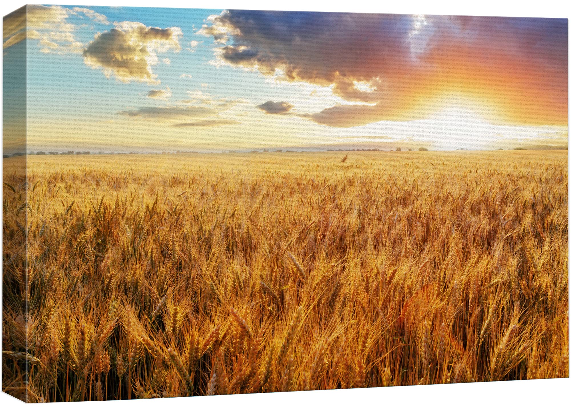 Canvas Prints Wall Art - Beautiful Scenery/Landscape Sunset Over Wheat Field | Modern Home Deoration/Wall Art Giclee Printing Wr
