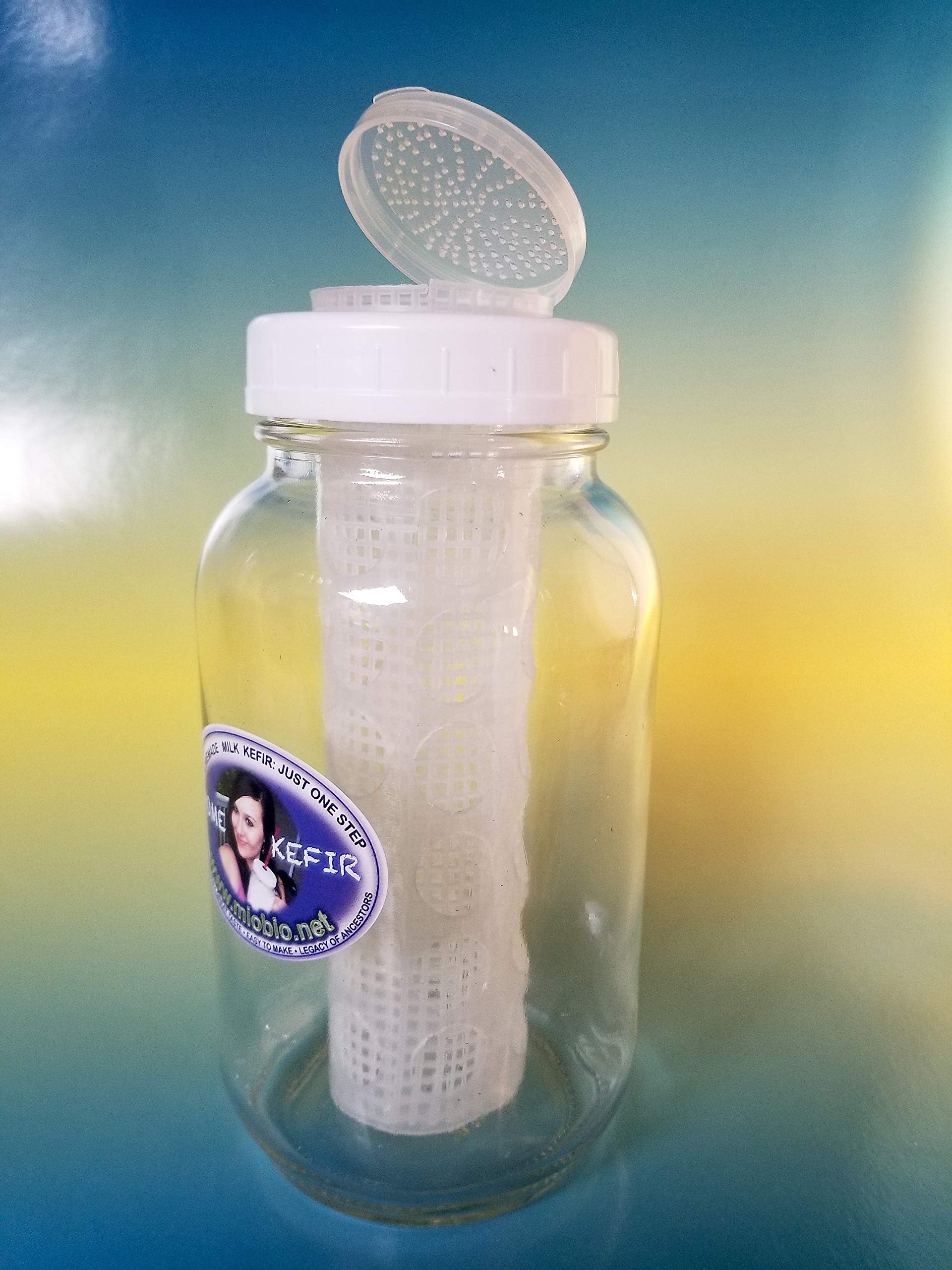 Kefir Fermenter - Infuser 0.6L/20oz for Simple and Rapid Homemade Kefirs: Milk Kefir or Water Kefir