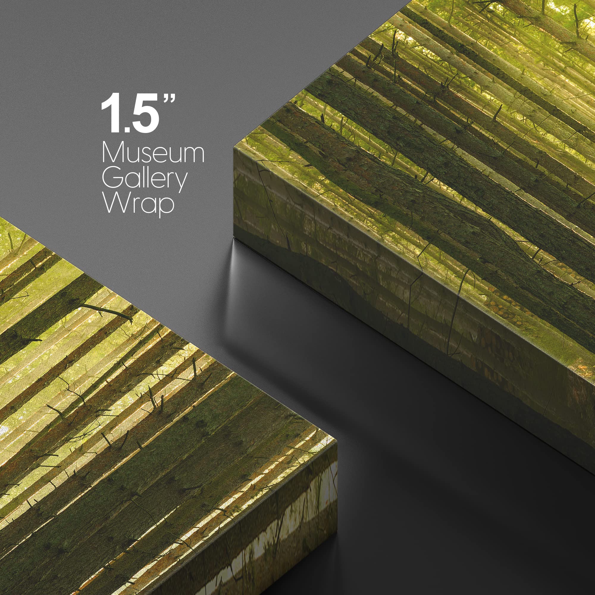 wall26 Canvas Print Wall Art Springtime Summer Sunlight Green Forest Nature Wilderness Photography Realism Earth Scenery Rustic Scenic Landscape Colorful for Living Room  Bedroom  Office - 24''x36''