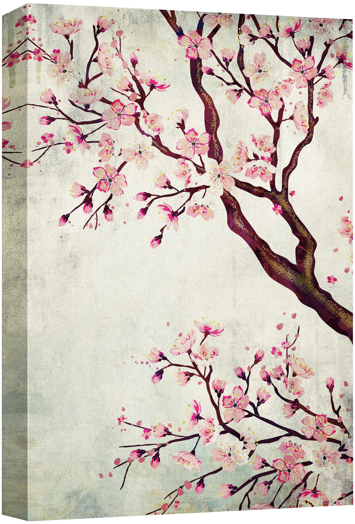 Wall26 Canvas Wall Art - Watercolor Painting Style Cherry Blossom - Giclee Print Gallery Wrap Modern Home Art Ready To Hang - 16