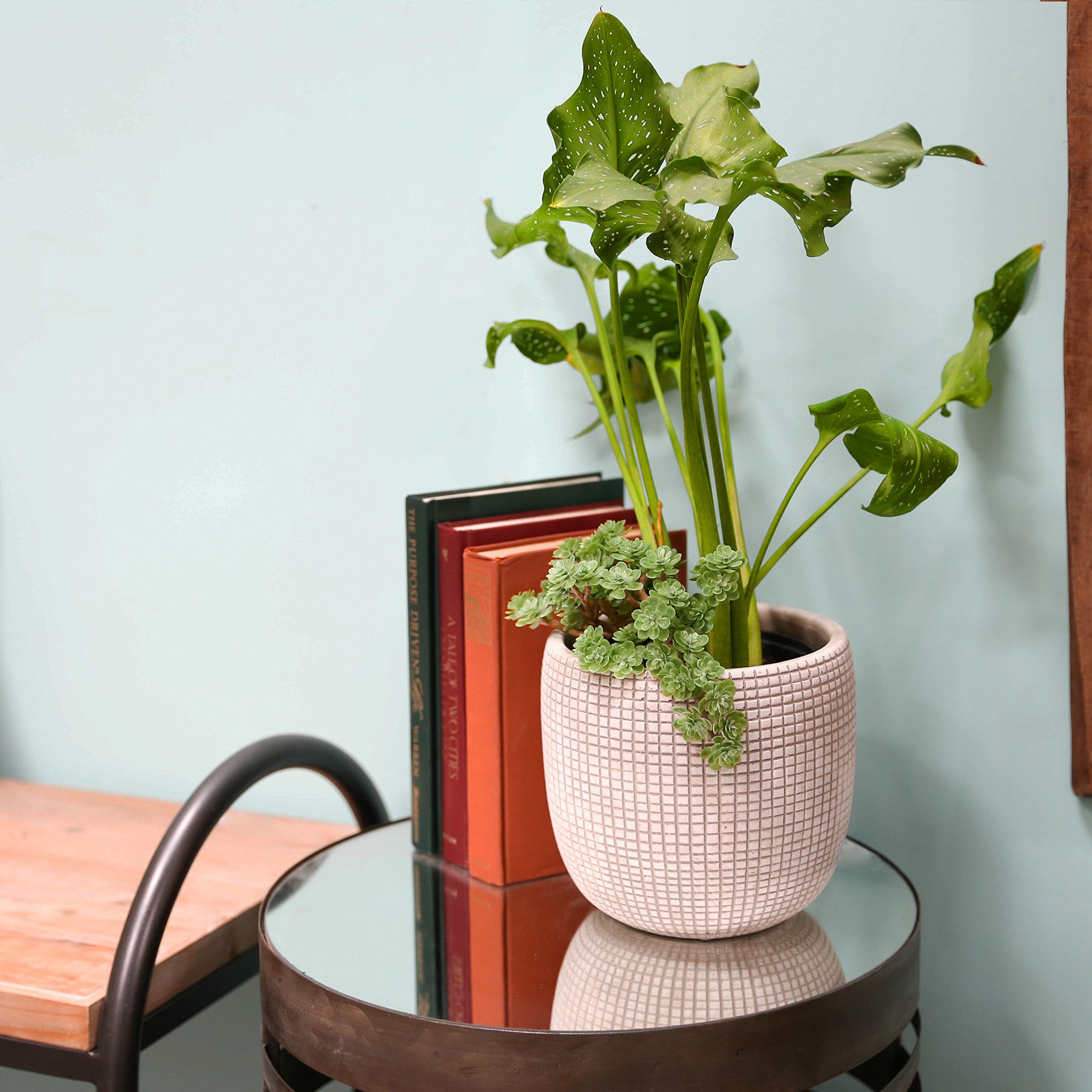 Cement Round Pot with Etched Square Lattice Design Body and Tapered Bottom Set of Three Washed Concrete Finish Cream