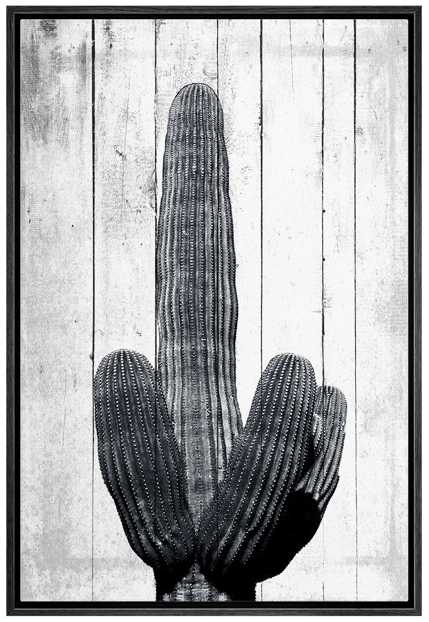 Nwt Framed Canvas Print Wall Art Detailed Desert Cactus On Wood Panels Floral Plants Illustrations Modern Art Rustic Dark Black